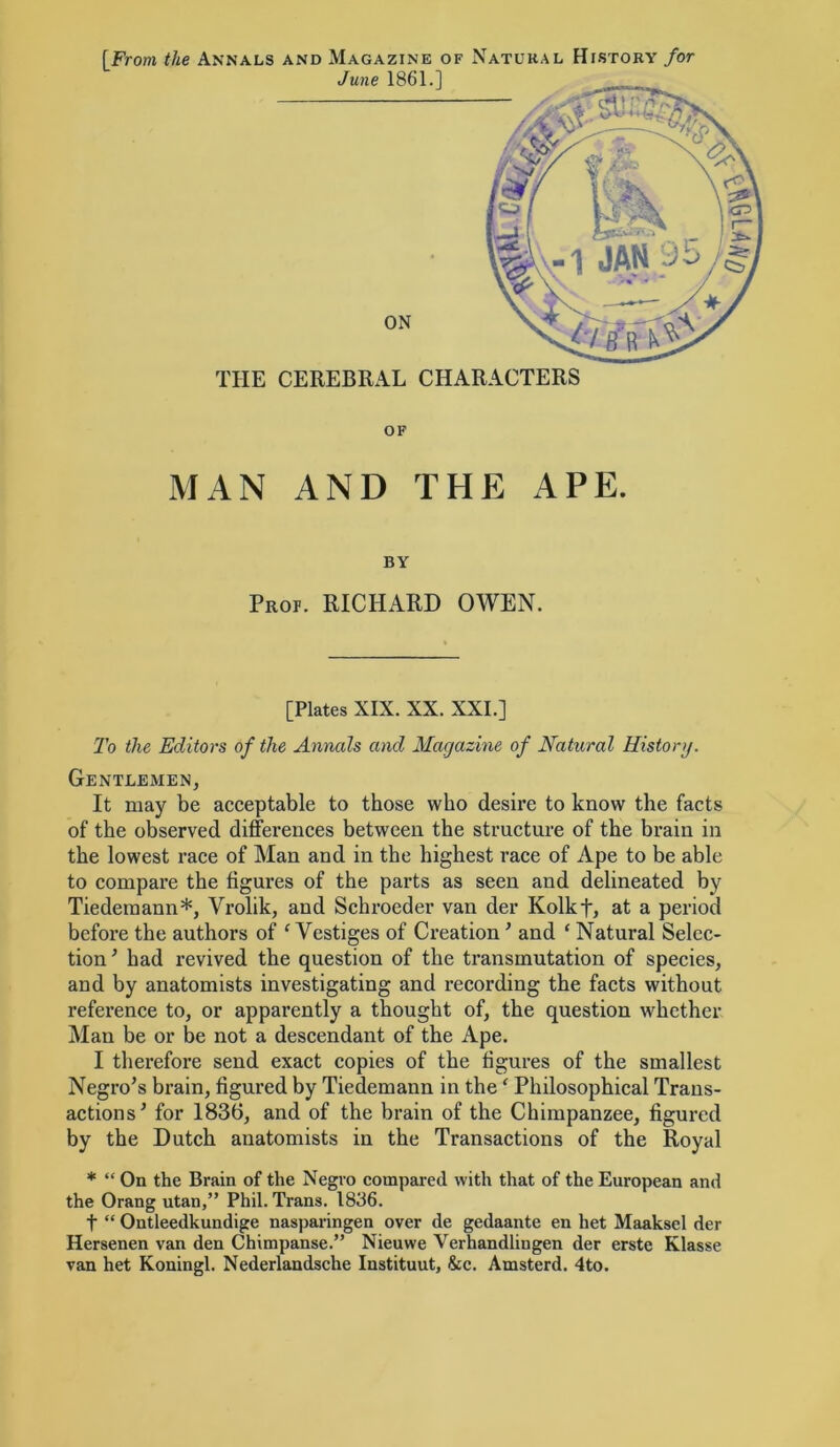 [From the Annals and Magazine of Natural History for THE CEREBRAL CHARACTERS OF MAN AND THE APE. BY Prof. RICHARD OWEN. [Plates XIX. XX. XXL] To the Editors of the Annals and Magazine of Natural Uistonj. Gentlemen, It may be acceptable to those who desire to know the facts of the observed differences between the structure of the brain in the lowest race of Man and in the highest race of Ape to be able to compare the figures of the parts as seen and delineated by Tiederaann*, Vrolik, and Schroeder van der Kolkf, at a period before the authors of ^Vestiges of Creation ’ and ‘ Natural Selec- tion^ had revived the question of the transmutation of species, and by anatomists investigating and recording the facts without reference to, or apparently a thought of, the question whether Man be or be not a descendant of the Ape. I therefore send exact copies of the figures of the smallest Negro’s hrain, figured by Tiedemann in the ^ Philosophical Trans- actions ’ for 1836, and of the brain of the Chimpanzee, figured by the Dutch anatomists in the Transactions of the Royal * “ On the Brain of the Negro compared with that of the European and the Orang utan,” Phil. Trans. 1836. t “ Ontleedkundige nasparingen over de gedaante en het Maaksel der Hersenen van den Chimpanse.” Nieuwe Verhandlingen der erste Klasse van het Koningl. Nederlandsche Instituut, &c. Amsterd. 4to.
