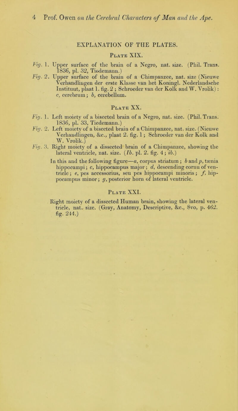 EXPLANATION OF THE PLATES. Plate XIX. Fig. 1. Upper surface of the brain of a Negro, nat. size. (Phil. Trans. 1836, pi. 32, Tiodemann.) Fig. 2. Upper surface of the brain of a Chimpanzee, nat. size (Nieuwe Verhandliugen der erste Klasse van het Koningl. Nederlandsche Instituut, plaat 1. fig. 2 ; Schroeder van der Kolk and W, Vrolik): c, cerebrum; b, cerebellum. Plate XX. Fig. 1. Left moiety of a bisected brain of a Negro, nat. size. (Phil. Trans. 1836, pi. 33, Tiedemann.) Fig. 2. Left moiety of a bisected brain of a Chimpanzee, nat. size. (Nieuwe Verhandliugen, &c., plaat 2. fig. 1; Schroeder van der Kolk and W. Vrolik.) Fig. 3. Right moiety of a dissected brain of a Chimpanzee, showing the lateral ventricle, nat. size. {Ib. pi. 2, fig. 4; ib.) In this and the following figure—a, corpus striatum ; b and/j, taenia hippocampi; c, hippocampus major; d, descending cornu of ven- tricle ; e, pes accessorius, seu pes hippocampi minoris; f. hip- pocampus minor; g, posterior horn of lateral ventricle. Plate XXL Right moiety of a dissected Human brain, showing the lateral ven- tricle, nat. size. (Gray, Anatomy, Descriptive, &c., 8vo, p. 462. fig. 244.)