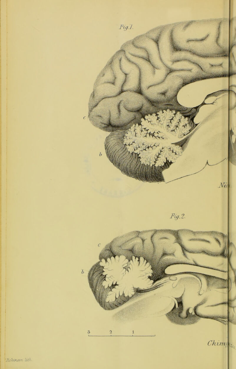 \Pudbmsvn. IxtK. Fx^.l. Ch Lin.