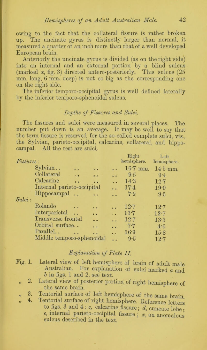 owing to the fact that the collateral fissure is rather broken up. The uncinate gyrus is distinctly larger than normal, it measured a quarter of an inch more than that of a well developed European brain. Anteriorly the uncinate gyrus is divided (as on the right side) into an internal and an external portion by a blind sulcus (marked x, fig. 3) directed antero-posteriorly. This sulcus (25 mm. long, 6 mm. deep) is not so big as the corresponding one on the rio-ht side. o The inferior temporo-occipital gyrus is well defined laterally by the inferior temporo-sphenoidal sulcus. Depths of Fissures and Sulci, The fissures and sulci were measured in several places. The number put down is an average. It may be well to say that the term fissure is reserved for the so-called complete sulci, viz., the Sylvian, parieto-occipital, calcarine, collateral, and hippo- campal. All the rest are sulci Eiglit Left Fissures: kemisphere. hemisphere Sylvian.. .. 16 7 mm. 14'5 mm. Collateral 9-5 9-4 Calcarine .. 14-3 127 Internal parieto-occipital . - 17-4 19-0 Hippocampal .. Sulci: 7-9 9-5 Rolando .. 127 127 Interparietal ., .. 137 12-7 Transverse frontal .. 127 13-3 Orbital surface., 77 4*6 Parallel.. .. 16-9 15-8 Middle temporo-sphenoidal 9*5 127 Explanation of Plate II. Fig. 1. Lateral view of left hemisphere of brain of adult male Australian. For explanation of sulci marked a and h in figs. 1 and 2, see text. „ 2. Lateral view of posterior portion of right hemisphere of the same brain. » 3. Tentorial surface of left hemisphere of the same brain „ 4. Tentorial surface of right hemisphere. Eeference letters to figs. 3 and 4 ; c, calcarine fissure; d, cuneate lobe • e, internal parieto-occipital fissure ; ic, an anomalous sulcus described in the text.