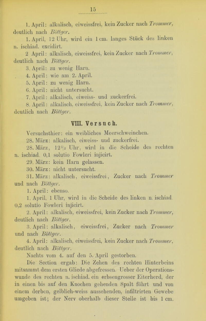 1. April: alkalisch, eiweissfrei, kein Zucker nach Trommer, deutlich nach Böttger. 1. April, 12 Uhr, wird ein 1cm. langes Stück des linken n. ischiad. excidirt. 2 April: alkalisch, eiweissfrei, kein Zucker nach 1 rommer, deutlich nach Böttger. 3. April: zu wenig Harn. 4. April: wie am 2. April. 5. April: zu wenig Harn. 6. April: nicht untersucht. 7. April: alkalisch, eiweiss- und zuckerfrei. 8. April: alkalisch, eiweissfrei, kein Zucker nach Trommer, deutlich nach Böttger. VIII. Versuch. Versuchsthier: ein weibliches Meerschweinchen. 28. März: alkalisch, eiweiss- und zuckerfrei. 28. März, \2V,* Uhr. wird in die Scheide des rechten n. ischiad. 0,1 solutio Fowleri injicirt. 29. März: kein Harn gelassen. 30. März: nicht untersucht. 31. März: alkalisch, eiweissfrei, Zucker nach Trommer und nach Böttger. 1. April: ebenso. 1. April, 1 Uhr, wird in die Scheide des linken n. ischiad. 0,2 solutio Fowleri injicirt. 2. April: alkalisch, eiweissfrei, kein Zucker nach Trommer, deutlich nach Böttger. 3. April: alkalisch, eiweissfrei, Zucker nach Trommer und nach Böttger. 4. April: alkalisch, eiweissfrei, kein Zucker nach Trommer, deutlich nach Böttger. Nachts vom 4. auf den 5. April gestorben. Die Section ergab: Die Zehen des rechten Hinterbeins mitsammt dem ersten Gliede abgefressen. Ueber der Operations- wunde des rechten n. ischiad. ein erbsengrosser Eiterherd, der in einen bis auf den Knochen gehenden Spalt führt und von einem derben, gelblich-weiss aussehenden, infiltrirten Gewebe umgeben ist; der Nerv oberhalb dieser Stelle ist bis 1 cm.