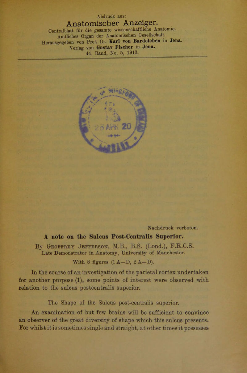 Abdruck aus: Anatomischer Anzeiger. Centralblatt fur die gesamte wissenschaftliche Analomie. Amtliches Organ der Anatomischen Gesellschaft. Herausgegeben von Prof. Dr. Karl vou Bardelebcn in Jena. Veriag von Gnstav Fischer in Jena. 44. Band, No. 5, 1913. Nachdruck verboten. A note on the Sulcus Post-Centralis Superior. By Geoffrey Jefferson, M.B., B.S. (Lond.), F.R.C.S. Late Demonstrator in Anatomy, University of Manchester. With 8 figures (1 A—D, 2 A—D). In the course of an investigation of the parietal cortex undertaken for another purpose (1), some points of interest were observed with relation to the sulcus postcentralis superior. The Shape of the Sulcus post-centralis superior. An examination of but few brains will be sufficient to convince an observer of the great diversity of shape which this sulcus presents. For whilst it is sometimes single and straight, at other times it possesses