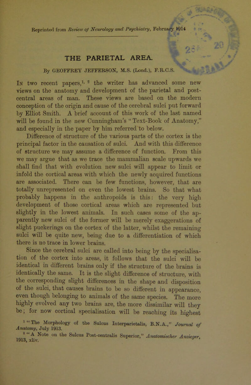 Reprinted from Review oj Neurology and Psychiatry, February 1914 i >• ! THE PARIETAL AREA. By GEOFFREY JEFFERSON, M.S. (Lond.), F.R.C.S. In two recent papers,1- 2 the writer has advanced some new views on the anatomy and development of the parietal and post- central areas of man. These views are based on the modern conception of the origin and cause of the cerebral sulci put forward by Elliot Smith. A brief account of this work of the last named will be found in the new Cunningham’s “ Text-Book of Anatomy,” and especially in the paper by him referred to below. Difference of structure of the various parts of the cortex is the principal factor in the causation of sulci. And with this difference of structure we may assume a difference of function. From this we may argue that as we trace the mammalian scale upwards we shall find that with evolution new sulci will appear to limit or infold the cortical areas with which the newly acquired functions are associated. There can be few functions, however, that are totally unrepresented on even the lowest brains. So that what probably happens in the anthropoids is this: the very high development of those cortical areas which are represented but slightly in the lowest animals. In such cases some of the ap- parently new sulci of the former will be merely exaggerations of slight puckerings on the cortex of the latter, whilst the remaining sulci will be quite new, being due to a differentiation of which there is no trace in lower brains. Since the cerebral sulci are called into being by the specialisa- tion of the cortex into areas, it follows that the sulci will be identical in different brains only if the structure of the brains is identically the same. It is the slight difference of structure, with the corresponding slight differences in the shape and disposition of the sulci, that causes bi’ains to be so different in appearance, even though belonging to animals of the same species. The more highly evolved any two brains are, the more dissimilar will they be; for now cortical specialisation will be reaching its highest 1,1 The Morphology of the Sulcus Interparietalis, B.N.A.,” Journal of Anatomy, July 1913. A Note on the Sulcus Post-centralis Superior,” Anatomiecher Anzieger, 1913, xliv.