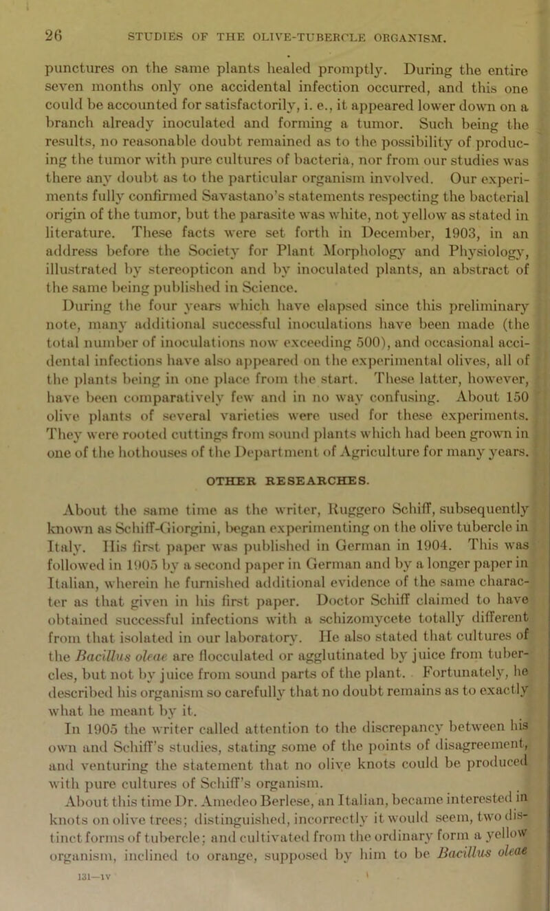 punctures on the same plants healed promptly. During the entire seven months only one accidental infection occurred, and this one couUl be accounted for satisfactorily, i. e., it appeared lower down on a branch already inoculated and forming a tumor. Such being the results, no reasonable doubt remained as to the possibility of produc- ing the tumor with pure cultures of bacteria, nor from our studies was there any doubt as to the particular organism involve*!. Our e.xperi- ments fully confirmed Savastano’s statements respecting the bacterial origin of the tumor, but the parasite was white, not yellow as stated in literature. These facts were set forth in December, 1903, in an address before the Society for Plant Moqihologj' and Physiology, illustrated by stereopticon and by inoculate*! plants, an abstract of the .same being published in Science. During the four years which have elapse*! since this preliminary note, many u*l*litional successful in*)culati*)ns have been made (the t*)tal number *)f in*>culations now e.\cee*ling 500), and occasional acci- *lental infections have also ajipeare*! on the exjierimental olives, all of the ])lants being in *»ne place from the start. These latter, however, have been c*)inparatively few an*l in no way c*mfusing. xVbout 150 olive plants of several varieties were use*l for these e.xperiments. They were ro*>te*l cuttings fr*)in s*)un*l plants which had been grown in one of the hothouses of the Dejiart ment of Agriculture for many years. OTHER RESEARCHES. About the same time as the writer, Ruggero SchifT, subsequently known as SchifMliorgini, liegan experimenting on the olive tubercle in Italy, llis first paper was jmblished in German in 1904. This was f*)ll*nve*l in 1905 by a secoml ]>aper in German ami by a longer paper in Italian, wherein he furnishe*! a*lditional evidence of the same charac- ter as that given in his first paper. D*)ctor Schiff claimed to have *)btaine*l successful infections with a schizomycete totally different fmm that isolate*! in our laboratory'. He also stated that cultures of the Bacillus oleae are flocculate*! or agglutinated by juice from tuber- cles, but not by juice from soun*l parts of the plant. Fortunately, ho *lescribe*l his organism so carefully that no *loubt remains as to exact ly what he meant by it. In 1905 the writer called attention to the *liscrepancy between his own ami Schiff’s stmlies, stating some of the j)*)ints of *lisagreement, an*l venturing the statement that no olive knots could be produced with jnire cultures of Schiff’s organism. About this time Dr. Ame*leo Berlese, an Italian, became intereste*! in kn*)ts *>n *)live trees; *listinguishe*l, incorrect ly itwouhl seem, two dis- tinct forms *)f tulx’rcle; an*l cultivate*! from the or*linary form a yellow *)rganism, inclined to orange, supj)osc*l by him to be Bacillus uleos