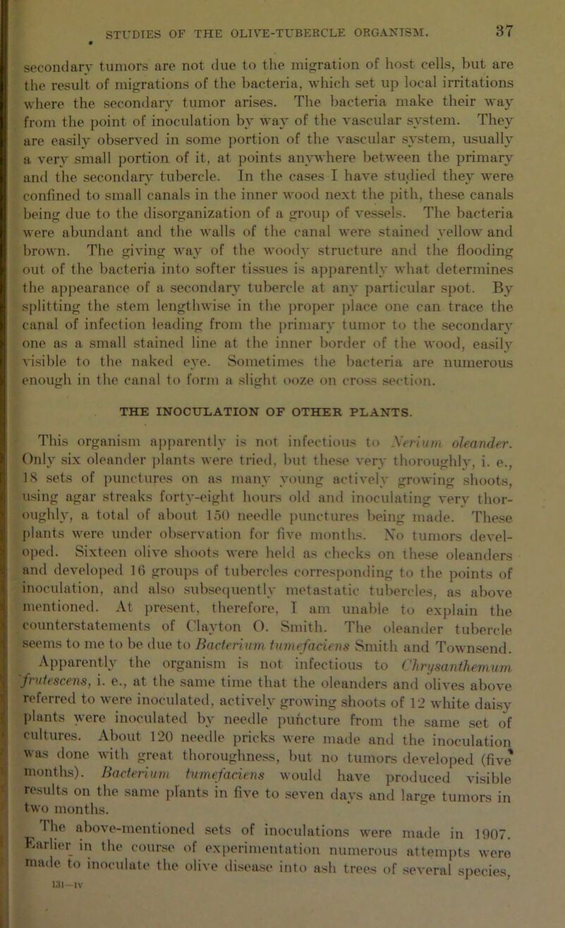 secondary tumors are not due to the migration of host cells, but are the result of migrations of the bacteria, which set up local irritations where the secondary tumor arises. The bacteria make their way from the point of inoculation by way of the vascular system. They are easily observed in some portion of the vascular system, usually a very small portion of it, at points an^’where between the primary and the secondarA' tubercle. In the cases I have studied they were confined to small canals in the inner wooil next the pith, these canals being due to the disorganization of a group of vessels. The bacteria were abundant and the walls of the canal were stained yellow and hrown. The giving way of the woody structure and the flooding out of the bacteria into softer tissues is apparently what determines the apjiearance of a secondary tubercle at any particular spot. By splitting the stem lengthwise in the jiroper ])lace one can trace the canal of infection leading from the ])rimary tumor to the secondary one as a small stained line at the inner border of the wood, ea.sily visible to the naked eye. Sometimes the bacteria are numerous enough in the canal to form a slight ooze on cross .section. THE INOCULATION OF OTHER PLANTS. This organism ap|)arently is not infectious to \erhtm oleander. Only six oleander ])lants were tried, but these very thoroughly, i. e., IS sets of punctures on as many young actively growing shoots, using agar streaks forty-eight hours old ami inoculating A’ery thor- oughly, a total of about lot) needle jiunctures lieing made. These j)hints were under observation for five months. No tumors devel- oped. Sixteen oliA’e shoots were held as checks on the.se oleanders and developed 16 groups of tubercles corresponding to the points of inoculation, and also subsequently metastatic tubercles, as above mentioned. At jn-esent, therefore, T am unable to explain the counterstatements of Clayton O. Smith. The oleander tubercle seems to me to be due to Bacterium tnmefaciens Smith and Townsend. Apparently the organism is not infectious to Chn/santhemian fruiescens, i. e., at the same time that the oleanders and olives above referred to Avere inoculated, actiA’ely growing shoots of 12 Avhite daisy plants were inoculatetl by needle puncture from the same set of cultures. About 120 needle pricks were made and the inoculation was done Avith great thoroughness, but no tumors developed (five months). Bactenum tumefaciens would have produced visible results on the same plants in five to seven days and large tumors in two months. * ” The above-mentioned sets of inoculations were made in 1907. Karher in the cour.se of experimentation numerous attemjits were made to inoculate the olive di.sease into ash trees of several sjiecies, 131-IV ’