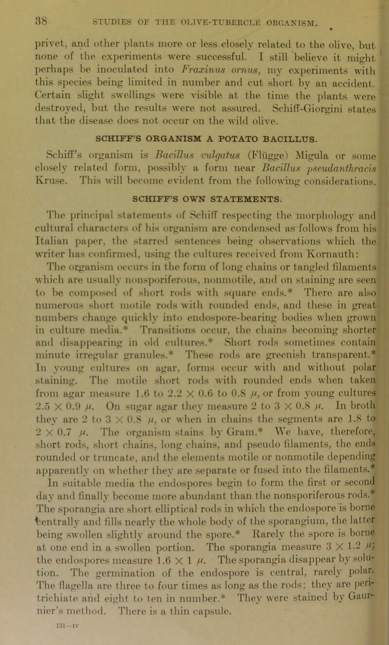 privet, and other plants more or less closely related to the olive, but none of the experiments were successful. I still believe it might ' perhaps be inoculated into Frarinus ornus, my ex})eriments with this species being limited in number and cut short bj-^ an accident. Certain slight swellings were visible at the time the plants were destroyed, but the results were not assured. SchifT-Giorgini states that the disease does not occur on the wild olive. SCHIFF’S ORGANISM A POTATO BACILLUS. SchifTs organism is Bacillus I'ulgatus (Fliigge) Migula or some closely related form, possibly a form near Bacillus pseudanlliracis Kruse. This will become evident from the following considerations. SCHIFF'S OWN STATEMENTS. The jirincipal statements of SchifT respecting the morphology and cultural characters of his organism are condensed as follows from his Italian paper, the starred sentences being ob.servations which the writer has confirmeil, using the cultures receivcil from Kornauth: The organism occurs in the form of long chains or tangled filaments which are usually nonsporiferous, nonmotile, and on staining are seen to be composed of short rods with square ends.* There are also numerous short motile rods with rounded ends, and these in great numbers change quickly into endospore-bearing bodies when grown in culture media.* Transitions occur, the chains becoming shorter and disapjiearing in old cultures.* Short rods .sometimes contain minute irregular granules.* The.se rods are greenish transparent.* In young cultures on agar, forms occur with and without polar staining. The motile short rods with rounded ends when taken from agar measure l.ti to 2.2 X 0.6 to O.S /<, or from young cultures 2.5 X 0.9 p. On sugar agar they measure 2 to 3 X 0.8 /L In broth they are 2 to 3 X O.S u, or when in chains the segments are 1.8 to 2 X 0.7 //. The organism stains by Gram.* We have, therefore, short rods, short chains, long chains, and pseudo filaments, the ends rounded or truncate, and the elements motile or nonmotile depending apparently on whether they are separate or fused into the filaments.* In suitable meilia the endospores begin to form the first or second day and finally become more abundant than the nonsporiferous rods.* The sporangia arc short elliptical rods in which the endospore is borne Centrally and fills nearly the whole body of the sporangium, the latter being swollen slightly around the spore.* Rarely the spore is borne at one end in a swollen portion. The sporangia measure 3X1-- /b the endospores measure 1.6 X 1 M- The sporangia disappear by solu- tion. The germination of the endospore is central, rarely polar. The flagella are three to four times as long as the rods; they are peri- trichiate aiid eight to ten in number.* They were stained by Gaur- nier’s method. There is a thin capsule.
