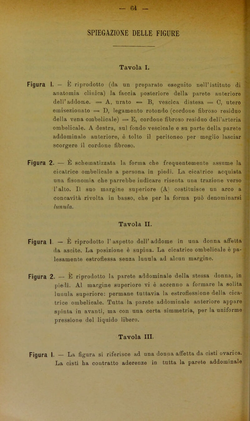 SPIEGAZIONE DELLE FIGURE Tavola I. Figura I. — E riprodotto (da un preparato eseguito nell’istituto di anatomia clinica) la faccia posteriore della parete anteriore dell’addome. = A, urato = B, vescica distesa = 0, utero einisezionato = D, legamento rotondo (cordone fibroso residuo della vena ombelicale) = E, cordone fibroso residuo dell'arteria ombelicale. A destra, sul fondo vescicale e su parte della parete addominale anteriore, è tolto il peritoneo per meglio lasciar scorgere il cordone fibroso. Figura 2. — E schematizzata la forma che frequentemente assume la cicatrice ombelicale a persona in piedi. La cicatrice acquista una fisonomia che parrebbe indicare risenta una trazione verso l’alto. Il suo margine superiore (A) costituisce un arco a concavità rivolta in basso, che per la forma può denominarsi lunula. Tavola II. Figura I — È riprodotto l’aspetto dell’addome in una donna affetta da ascite. La posizione è supina. La cicatrice ombelicale è pa- lesamento estroflessa senza lunula ad alcun margine. Figura 2. — È riprodotto la parete addominale della stessa donna, in piedi. Al margine superiore vi è accenno a formare la solita lunula superiore: permane tuttavia la estroflessione della cica- trice ombelicale. Tutta la parete addominale anteriore appare spinta in avanti, ma con una certa simmetria, per la uniforme pressione del liquido libero. Tavola III. Figura !■ — La figura si riferisce ad una donna affetta da cisti ovarica. La cisti ha contratto aderenze in tutta la parete addominale