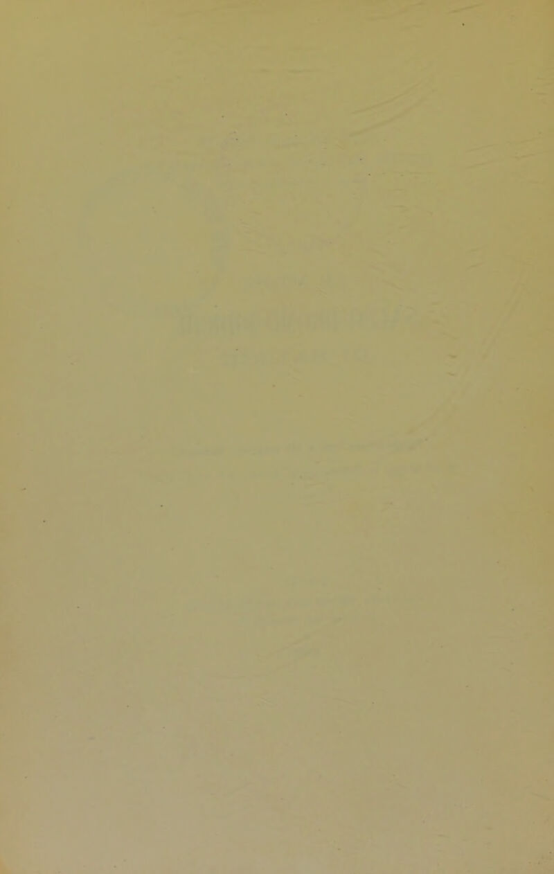 ■J L t 4 i ■'J t I I \