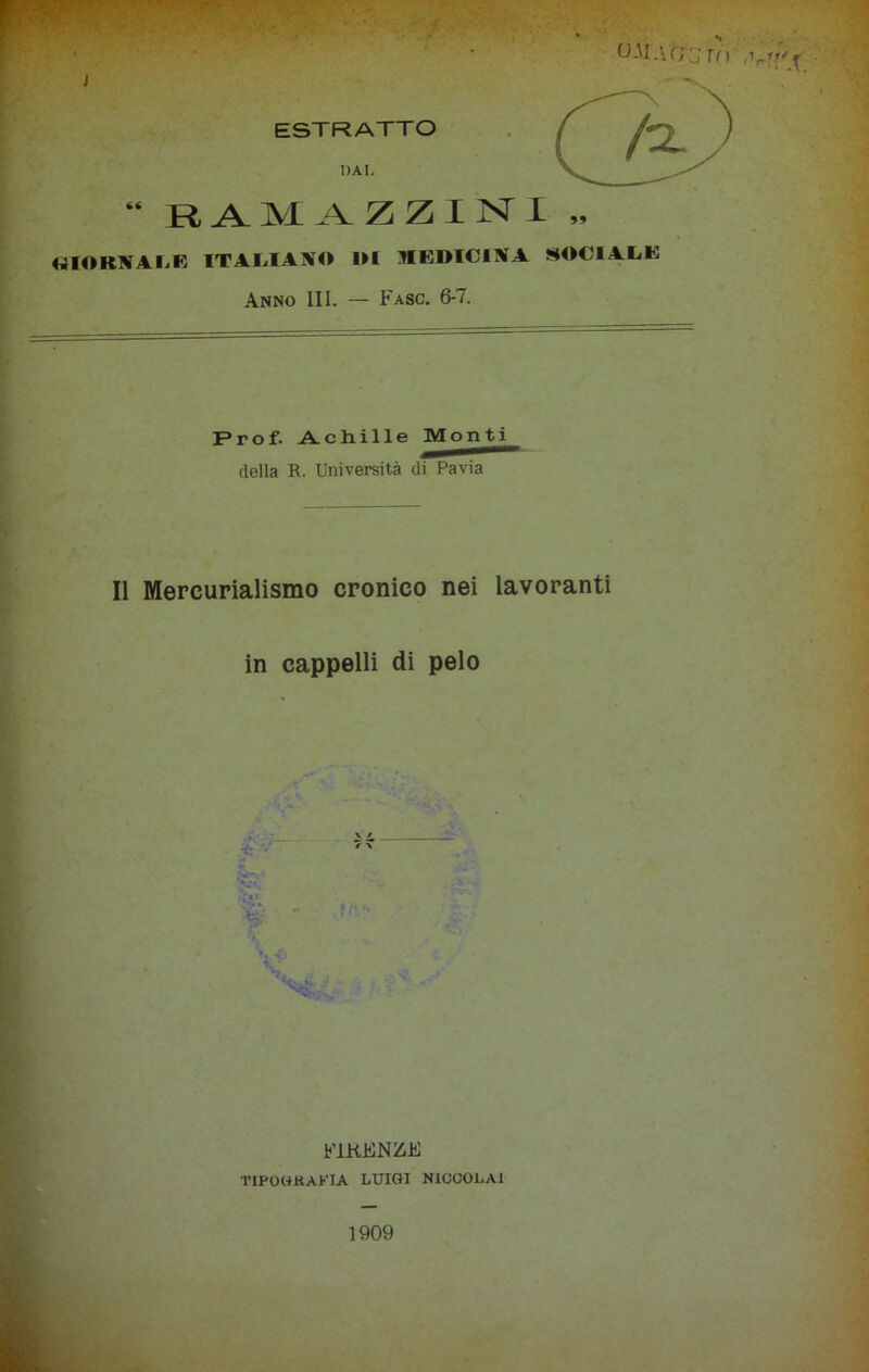 ESTRATTO DAI. “ RAM AZZINI „ UIORNAIiR ITALIANO DI JIEDICINA SOCIALE Anno III. — Fasc. 6-7. Prof. Achille Monti della R. Università di Pavia Il Mercurialismo cronico nei lavoranti in cappelli di pelo TIPOGKAKIA LUIGI NICC0LA1