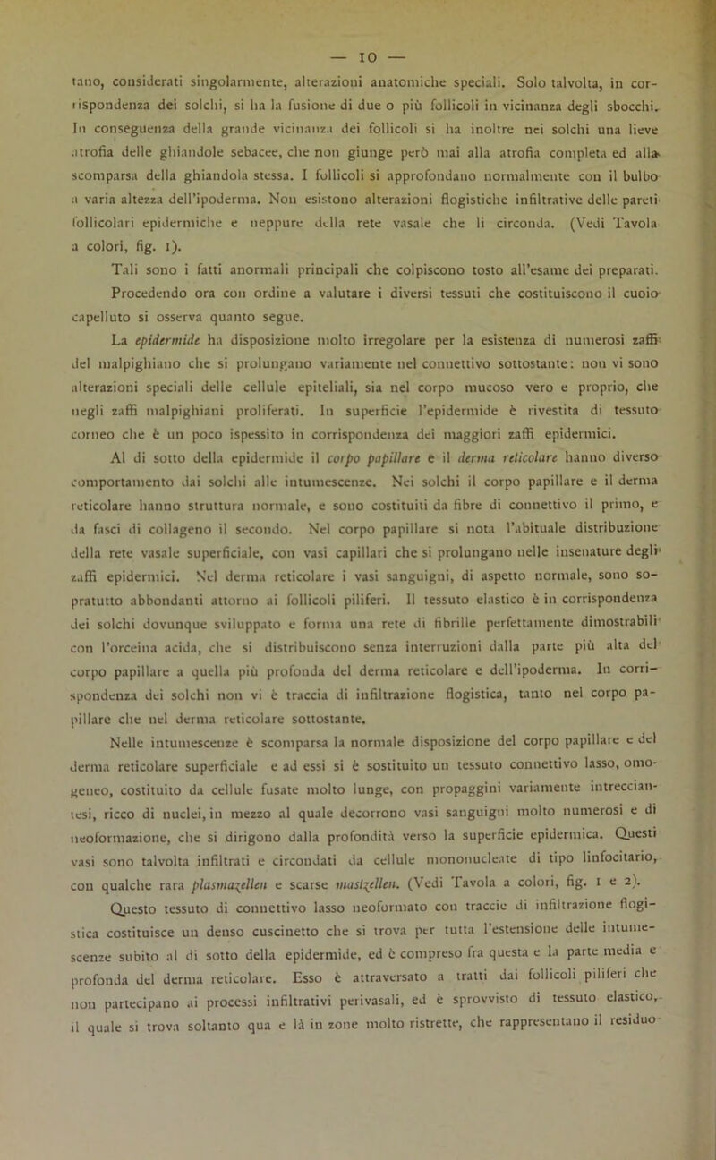 IO inno, considerati singolarmente, alterazioni anatomiche speciali. Solo talvolta, in cor- lispondenza dei solchi, si ha la fusione di due o più follicoli in vicinanza degli sbocchi. In conseguenza della grande vicinanza dei follicoli si ha inoltre nei solchi una lieve atrofia delle ghiandole sebacee, che non giunge però mai alla atrofia completa ed all» scomparsa della ghiandola stessa. I follicoli si approfondano normalmente con il bulbo a varia altezza dell’ipoderma. Non esistono alterazioni flogistiche infiltrative delle pareti follicolari epidermiche e neppure della rete vasale che li circonda. (Vedi Tavola a colori, fig. 1). Tali sono i fatti anormali principali che colpiscono tosto all’esame dei preparati. Procedendo ora con ordine a valutare i diversi tessuti che costituiscono il cuoio- capelluto si osserva quanto segue. La epidermide ha disposizione molto irregolare per la esistenza di numerosi zaffi' del tnalpighiano che si prolungano variamente nel connettivo sottostante: non vi sono alterazioni speciali delle cellule epiteliali, sia nel corpo mucoso vero e proprio, che negli zaffi malpighiani proliferati. In superficie l’epidermide è rivestita di tessuto corneo che è un poco ispessito in corrispondenza dei maggiori zaffi epidermici. Al di sotto della epidermide il corpo papillare e il derma reticolare hanno diverso comportamento dai solchi alle intumescenze. Nei solchi il corpo papillare e il derma reticolare hanno struttura normale, e sono costituiti da fibre di connettivo il primo, e da fasci di collageno il secondo. Nel corpo papillare si nota l’abituale distribuzione della rete vasale superficiale, con vasi capillari che si prolungano nelle insenature degli' zaffi epidermici. Nel derma reticolare i vasi sanguigni, di aspetto normale, sono so- pratutto abbondanti attorno ai follicoli piliferi. Il tessuto elastico è in corrispondenza dei solchi dovunque sviluppato e forma una rete di fibrille perfettamente dimostrabili' con l’orceina acida, che si distribuiscono senza interruzioni dalla parte più alta del corpo papillare a quella più profonda del derma reticolare e dell’ipoderma. In corri- spondenza dei solchi non vi è traccia di infiltrazione flogistica, tanto nel corpo pa- pillare che nel derma reticolare sottostante. Nelle intumescenze è scomparsa la normale disposizione del corpo papillare e del derma reticolare superficiale e ad essi si è sostituito un tessuto connettivo lasso, omo- geneo, costituito da cellule fusate molto lunge, con propaggini variamente intreccian- tesi, ricco di nuclei, in mezzo al quale decorrono vasi sanguigni molto numerosi e di neoformazione, che si dirigono dalla profondità verso la superficie epidermica. Questi vasi sono talvolta infiltrati e circondati da cellule mononucleate di tipo linfocitario, con qualche rara plasmaglieli e scarse inastiglieli. (Vedi I avola a colori, fig. I e 2). Questo tessuto di connettivo lasso neoformato con traccio di infiltrazione flogi- stica costituisce un denso cuscinetto che si trova per tutta l’estensione delle intume- scenze subito al di sotto della epidermide, ed è compreso fra questa e la parte media e profonda del derma reticolare. Esso è attraversato a tratti dai follicoli piliferi che non partecipano ai processi infiltrativi perivasali, ed è sprovvisto di tessuto elastico, il quale si trova soltanto qua e là in zone molto ristrette, che rappresentano il residuo