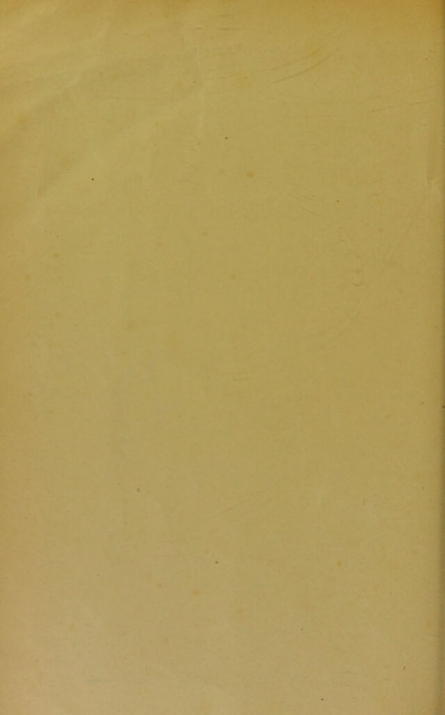 digitised image 2