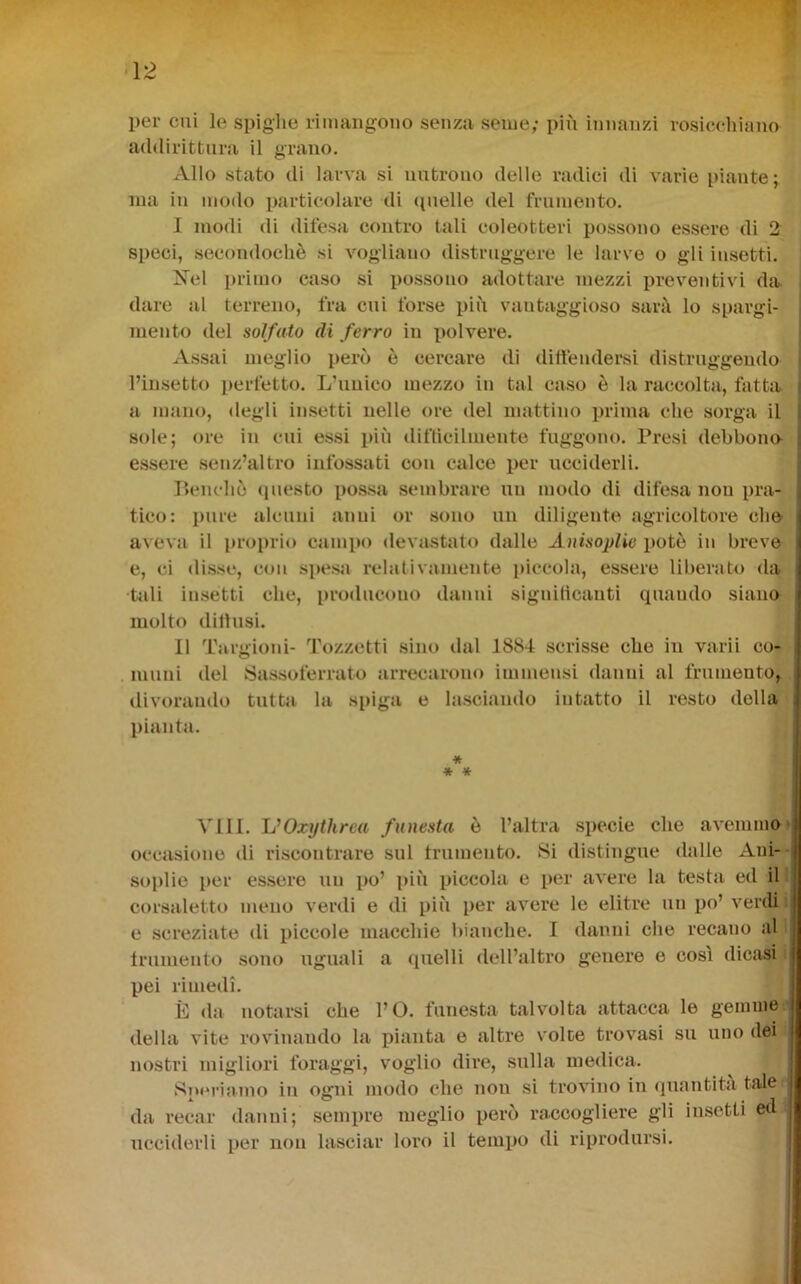 per cui le spiglie rimangono senza seme; più innanzi rosicchiano addirittura il grano. Allo stato di larva si nutrono delle radici di varie piante; ma in modo particolare di (pielle del frumento. I modi di difesa contro tali coleotteri possono essere di 2^ speci, secondocliè si vogliano distruggere le larve o gli insetti. Xel primo caso si possono adottare mezzi preventivi da. dare al terreno, fra cui forse più vantaggioso sarà lo spargi- mento del solfato di ferro in polvere. Assai meglio però è cercare di dilfendersi distruggendo l’insetto perfetto. L’unico mezzo in tal caso è la raccolta, fatta. i a mano, degli insetti nelle ore del mattino prima che sorga il j sole; ore in cui essi più diflicilinente fuggono. Presi debbono- i essere .senz’altro infossati con calce per ucciderli. f P>enchò (juesto possa sembrare un modo di difesa non pra- i tico: pure alcuni anni or sono un diligente agricoltore che- j aveva il proprio campo devastato dalle AuisopUe potò in breve e, ci disse, con spesa relativamente piccola, essere liberato da •tiili imsetti che, producono danni signitìcanti quando siano molto ditlusi. II Targioni- Pozzetti sino dal 1884 scrisse che in varii co- muni del Sassoferrato arrecarono immensi danni al frumento, divorando tutta la spiga e lasciando intatto il resto della pianta. * « * Vili. ÌJOxythrca funesta ò l’altra specie che avemmo' occasione di riscontrare sul trumento. Si distingue dalle Aui- soi)lie per essere un po’ i)iù piccola e per avere la testa ed il corsaletto meno verdi e di più per avere le elitre un po’ verdi: e screziate di piccole macchie bianche. I danni che recano al trumento sono uguali a quelli dell’altro genere e così dicasi pei rimedi. È da notarsi che l’O. funesta talvolta attacca le gemme della vite rovinando la pianta e altre voice trovasi su uno dei nostri migliori foraggi, voglio dire, sulla medica. .Spigriamo in ogni modo che non si trovino in quantità tale da recar danni; sempre meglio però raccogliere gli insetti ed ucciderli per non lasciar loro il tempo di riprodursi.