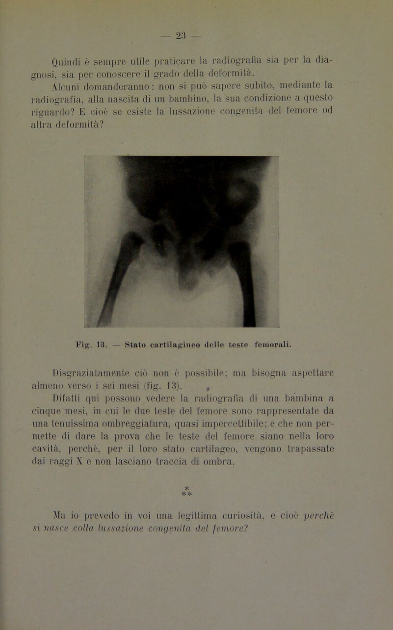 Quindi è sempre utile praticare la radiografia sia per la dia- gnosi, sia per conoscere il grado della deformità. Alcuni domanderanno: non si può sapere subito, mediante la radiografia, alla nascita di un bambino, la sua condizione a questo riguardo? E cioè se esiste la lussazione congenita del femore od altra deformità? Fig. 13. — Stato cartilagineo delle teste femorali. Disgraziatamente ciò non è possibile; ma bisogna aspettare almeno verso i sei mesi (fig. 13). f Difatti qui possono vedere la radiografia di una bambina a cinque mesi, in cui le due teste del femore sono rappresentate da una tenuissima ombreggiatura, quasi impercettibile; e che non per- mette di dare la prova che le teste del femore siano nella loro cavità, perchè, per il loro sfato cartilageo, vengono trapassate dai raggi X e non lasciano traccia di ombra. * Ma io prevedo in voi una legittima curiosità, e cioè perchè sì nasce colla lussazione congenita del femore?