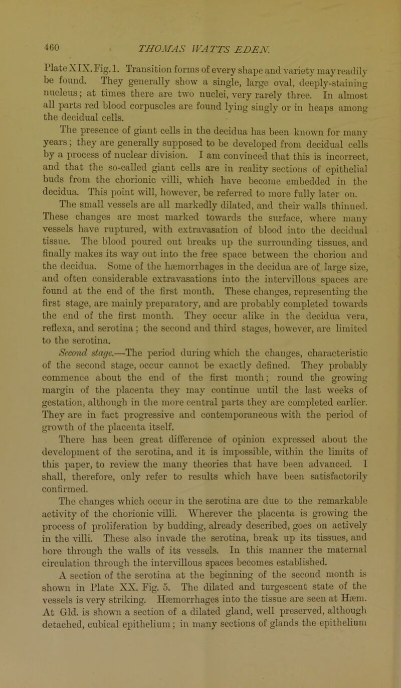 1 ’late XIX. Fig. 1. Transition forms of every shape and variety may readily be found. They generally show a single, large oval, deeply-staining nucleus; at times there are two nuclei, very rarely three. In almost all parts red blood corpuscles are found lying singly or in heaps among the decidual cells. The presence of giant cells in the decidua has been known for many years; they are generally supposed to be developed from decidual cells by a process of nuclear division. I am convinced that this is incorrect, and that the so-called giant cells are in reality sections of epithelial buds from the chorionic villi, which have become embedded in the decidua. This point will, however, be referred to more fully later on. The small vessels are all markedly dilated, and their walls thinned. These changes are most marked towards the surface, where many vessels have ruptured, with extravasation of blood into the decidual tissue. The blood poured out breaks up the surrounding tissues, aud finally makes its way out into the free space between the chorion and the decidua. Some of the haemorrhages in the decidua are of large size, and often considerable extravasations into the intervillous spaces are found at the end of the first month. These changes, representing the first stage, are mainly preparatory, and are probably completed towards the end of the first month. They occur alike in the decidua vera, reflexa, and serotina ; the second and third stages, however, are limited to the serotina. Second stage.—The period during which the changes, characteristic of the second stage, occur cannot be exactly defined. They probably commence about the end of the first month; round the growing margin of the placenta they may continue until the last weeks of gestation, although in the more central parts they are completed earlier. They are in fact progressive and contemporaneous with the period of growth of the placenta itself. There has been great difference of opinion expressed about the development of the serotina, and it is impossible, within the limits of this paper, to review the many theories that have been advanced. 1 shall, therefore, only refer to results which have been satisfactorily confirmed. The changes which occur in the serotina are due to the remarkable activity of the chorionic villi. 'Wherever the placenta is growing the process of proliferation by budding, already described, goes on actively in the villi. These also invade the serotina, break up its tissues, and bore through the walls of its vessels. In this manner the maternal circulation through the intervillous spaces becomes established. A section of the serotina at the beginning of the second month is shown in Plate XX. Fig. 5. The dilated and turgescent state of the vessels is very striking. Haemorrhages into the tissue are seen at Haem. At Gld. is shown a section of a dilated gland, well preserved, although detached, cubical epithelium; in many sections of glands the epithelium