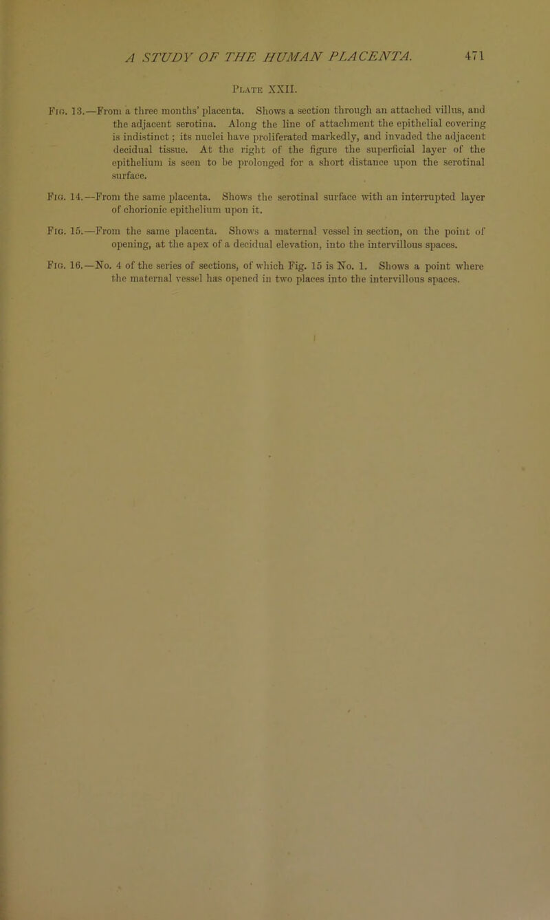 Plate XXII. Fro. 13.—From a three months’ placenta. Shows a section through an attached villus, and the adjacent serotina. Along the line of attachment the epithelial covering is indistinct; its nuclei have proliferated markedly, and invaded the adjacent decidual tissue. At the right of the figure the superficial layer of the epithelium is seen to be prolonged for a short distance upon the serotinal surface. Fig. 14.—From the same placenta. Shows the serotinal surface with an interrupted layer of chorionic epithelium upon it. Fig. 15.—From the same placenta. Shows a maternal vessel in section, on the point of opening, at the apex of a decidual elevation, into the intervillous spaces. Fig. 16.—No. 4 of the series of sections, of which Fig. 15 is No. 1. Shows a point where the maternal vessel has opened in two places into the intervillous spaces.