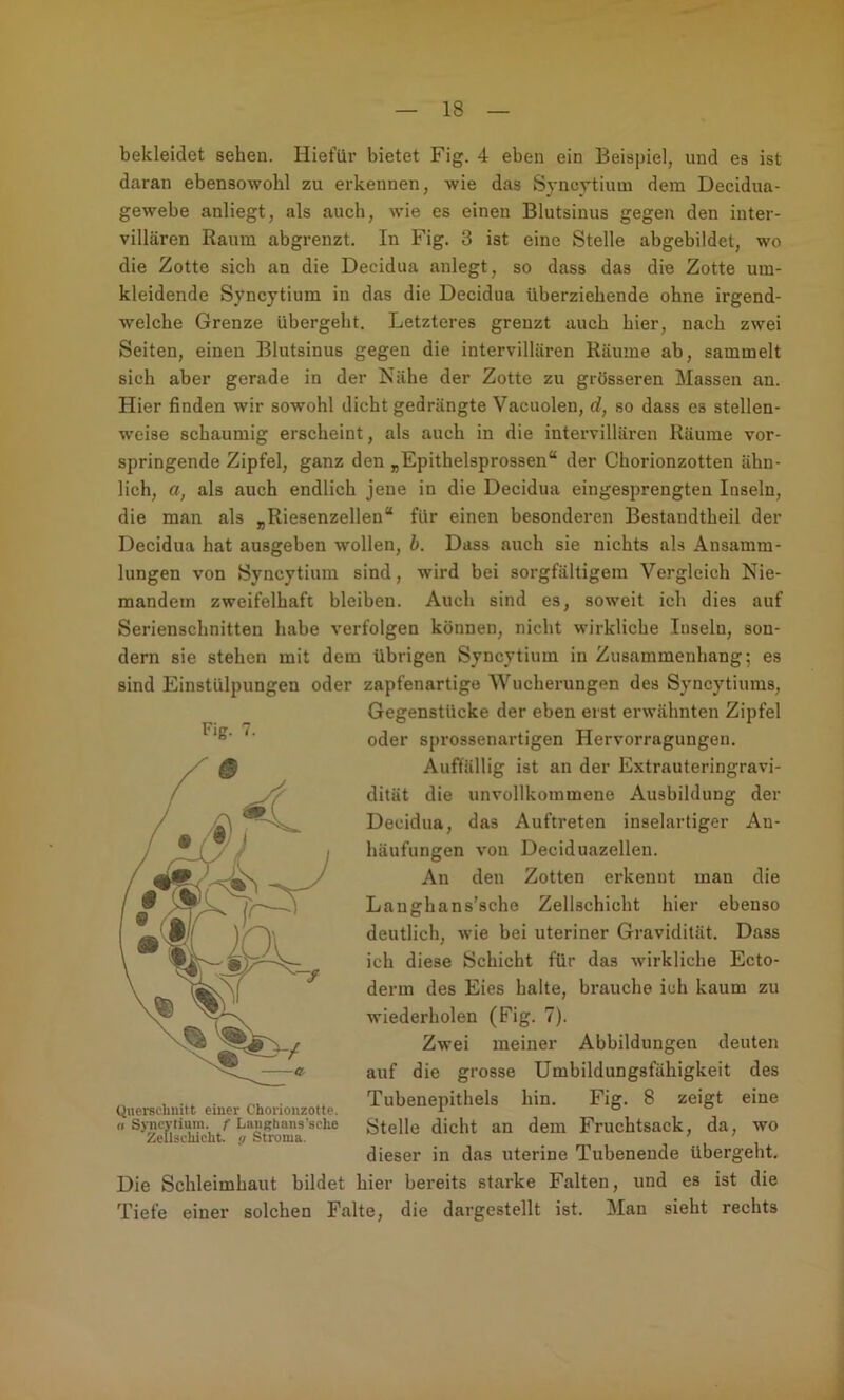 bekleidet sehen. Hiefiir bietet Fig. 4 eben ein Beispiel, und es ist daran ebensowohl zu erkennen, wie das Sjncytiimi dem Decidua- gewebe anliegt, als auch, w'ie es einen Blutsinus gegen den inter- villären Raum abgrenzt. In Fig. 3 ist eine Stelle abgebildet, wo die Zotte sich an die Decidua anlegt, so dass das die Zotte um- kleidende Syncytium in das die Decidua überziehende ohne irgend- welche Grenze übergeht. Letzteres grenzt auch hier, nach zwei Seiten, einen Blutsinus gegen die intervillären Räume ab, sammelt sich aber gerade in der Nähe der Zotte zu grösseren Massen an. Hier finden wir sowohl dichtgedrängte Vacuolen, d, so dass es stellen- weise schaumig erscheint, als auch in die intervillären Räume vor- springende Zipfel, ganz den „Epithelsprossen“ der Chorionzotten ähn- lich, Cf, als auch endlich jene in die Decidua eingesprengten Inseln, die man als „Riesenzellen“ für einen besonderen Bestandtheil der Decidua hat ausgeben wollen, h. Dass auch sie nichts als Ansamm- lungen von JSyncytium sind, wird bei sorgfältigem Vergleich Nie- mandem zweifelhaft bleiben. Auch sind es, soweit ich dies auf Serienschnitten habe verfolgen können, nicht wirkliche Inseln, son- dern sie stehen mit dem übrigen Syncytium in Zusammenhang; es sind Einstülpungen oder zapfenartige Wucherungen des Syncytiums, Gegenstücke der eben erst erw’ähnten Zipfel oder sprossenartigen Hervorragungen, Auffällig ist an der Extrauteringravi- dität die unvollkommene Ausbildung der Decidua, das Auftreten inselartiger An- häufungen von Deciduazellen. An den Zotten erkennt man die Langhans’sche Zellschicht hier ebenso deutlich, wie bei uteriner Gravidität. Dass ich diese Schicht für das wirkliche Ecto- derm des Eies halte, brauche ich kaum zu wiederholen (Fig. 7). Zwei meiner Abbildungen deuten auf die grosse Umbildungsfähigkeit des ,, , ... . . ., Tubenepithels hin. Fig. 8 zeigt eine Querschnitt einer Chononzotte. ^ o o «Syncytium. /• Laughans’sche Stelle dicht an dem Fruchtsack, da, wo dieser in das uterine Tubenende übergeht. Die Schleimhaut bildet hier bereits starke Falten, und es ist die Tiefe einer solchen Falte, die dargestellt ist. Man sieht rechts