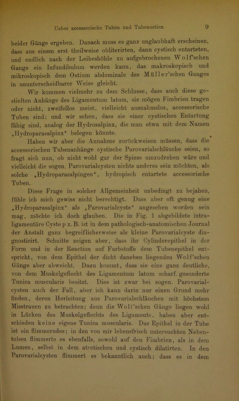 beider Gänge ergeben. Danach muss es ganz unglaubhaft erscheinen, dass aus einem erst theilweise obliterirten, dann cystisch entarteten, und endlich nach der Leibeshöhle zu aufgebrochenen Wolf’schen Gange ein Infundibulum werden kann, das makroskopisch und mikroskopisch dem Ostium abdominale des Müller’schen Ganges in ununterscheidbarer Weise gleicht. Wir kommen vielmehr zu dem Schlüsse, dass auch diese ge- stielten Anhänge des Ligamentum latum, sie mögen Fimbrien tragen oder nicht, zweifellos meist, vielleicht ausnahmslos, accessorische Tuben sind; und wir sehen, dass sie einer cystischen Entartung fähig sind, analog der Hydrosalpinx, die man etwa mit dem Namen „Hydroparasalpinx“ belegen könnte. Haben wir aber die Annahme zurückweisen müssen, dass die accessorischen Tubenanhänge cystische Parovarialschläuche seien, so fragt sich nun, ob nicht wohl gar der Spiess umzudrehen wäre und vielleicht die sogen. Parovarialcysten nichts anderes sein möchten, als solche „Hydroparasalpingen“, hydropisch entartete accessorische Tuben. Diese Frage in solcher Allgemeinheit unbedingt zu bejahen, fühle ich mich gewiss nicht berechtigt. Dass aber oft genug eine „Hydroparasalpinx“ als „Parovarialcyste“ angesehen worden sein mag, möchte ich doch glauben. Die in Fig. 1 abgebildete intra- ligamentäre Cyste p z. B. ist in dem pathologisch-anatomischen Journal der Anstalt ganz begreiflicherweise als kleine Parovarialcyste dia- gnosticirt. Schnitte zeigen aber, dass ihr Cylinderepithel in der Form und in der Reaction auf Farbstoffe dem Tubenepithel ent- spricht, von dem Epithel der dicht daneben liegenden Wolf’schen Gänge aber abweicht. Dazu kommt, dass sie eine ganz deutliche, von dem Muskelgeflecht des Ligamentum latum scharf, gesonderte Tunica muscularis besitzt. Dies ist zwar bei sogen. Parovarial- cysten auch der Fall, aber ich kann darin nur einen Grund mehr finden, deren Herleitung aus Parovarialschläuchen mit höchstem Misstrauen zu betrachten; denn die Wolf'sehen Gänge liegen wohl in Lücken des Muskelgeflechts des Ligaments, haben aber ent- schieden keine eigene Tunica muscularis. Das Epithel in der Tube ist ein flimmerndes; in den von mir lebensfrisch untersuchten Neben- tuben flimmerte es ebenfalls, sowohl auf den Fimbrien, als in dem Lumen, selbst in dem atretischen und cystisch dilatirten. In den Parovarialcysten flimmert es bekanntlich auch; dass es in dem