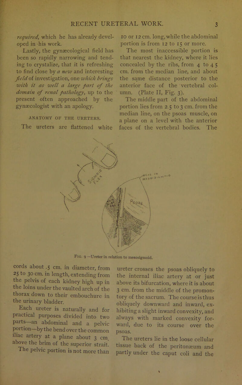 required, which he has already devel- oped in his work. Lastly, the gynaecological field has been so rapidly narrowing and tend- ing to crystalize, that it is refreshing to find close by a new and interesting field of investigation, one which brings with it as well a large part of the domain of renal pathology, up to the present often approached by the gynaecologist with an apology. ANATOMY OF THE URETERS. The ureters are flattened white io or 12 cm. long, while the abdominal portion is from 12 to 15 or more. The most inaccessible portion is that nearest the kidney, where it lies concealed by the ribs, from 4 to 4 5 cm. from the median line, and about the same distance posterior to the anterior face of the vertebral col- umn. (Plate II, P'ig. 3). The middle part of the abdominal portion lies from 2.5 to 3 cm. from the median line, on the psoas muscle, on a plane on a level with the anterior faces of the vertebral bodies. The cords about .5 cm. in diameter, from 25 to 30 cm. in length, extending from the pelvis of each kidney high ujd in the loins under the vaulted arch of the thorax down to their embouchure in the urinary bladder. Each ureter is naturally and for practical purposes divided into two parts—an abdominal and a pelvic portion—by the bend over the common iliac artery at a plane about 3 cm. above the brim of the superior strait. 1 he pelvic portion is not more than ureter crosses the psoas obliquely to the internal iliac artery at or just above its bifurcation, where it is about 3 cm. from the middle of the promon- tory of the sacrum. The course is thus obliquely downward and inward, ex- hibiting a slight inward convexity, and always with marked convexity for- ward, due to its course over the psoas. The ureters lie in the loose cellular tissue back of the peritonaeum and partly under the caput coli and the