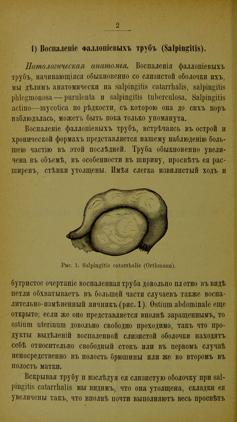 1) Воспаленіе Фаллопіевыхъ трубъ (8а1ріп&і(і8). Патологическая анатомія. Воспаленія фаллопіевыхъ трубъ, начинающіяся обыкновенно со слизистой оболочки ихъ, мы дѣлимъ анатомически на заірііщіііз саІаггЬаІіз, 8а1ріп§ііІ8 рЫермноза— ршніепіа и 8а1рт§Ш8 іиѣегсиіоза. 8а1ріп§Шв асііпо—тусойса по рѣдкости, съ которою она до сихъ поръ наблюдалась, можетъ быть пока только упомянута. Воспаленіе фаллопіевыхъ трубъ, встрѣчаясь въ острой и хронической формахъ представляется нашему наблюденію боль- шею частію въ этой послѣдней. Труба обыкновенно увели- чена въ объемѣ, въ особенности въ ширину, просвѣтъ ея рас- ширенъ, стѣнки утолщены. Имѣя слегка извилистый ходъ и Рис. 1. 8а1ріп§Шз саіаггЬаІіз (ОгЙшіапп). бугристое очертаніе воспаленная труба довольно плотно въ видѣ петли обхватываетъ въ большей части случаевъ также воспа- лительно-измѣненный яичникъ (рис. 1). ОзИшн аМошіпаІе еще открыто; если же оно представляется вполнѣ заращеннымъ, то озПііпі иіегіпшп довольно свободно проходимо, такъ что про- дукты выдѣленій воспаленной слизистой оболочки находятъ себѣ относительно свободный стокъ или въ первомъ случаѣ непосредственно въ полость брюшины пли же во второмъ въ полость матки. Вскрывая трубу и изслѣдуя ея слизистую оболочку при заі- ріп^іііз саіаггЬаІіз мы видимъ, что она утолщена, складки ея увеличены такъ, что вполнѣ почти выполняютъ весь просвѣтъ