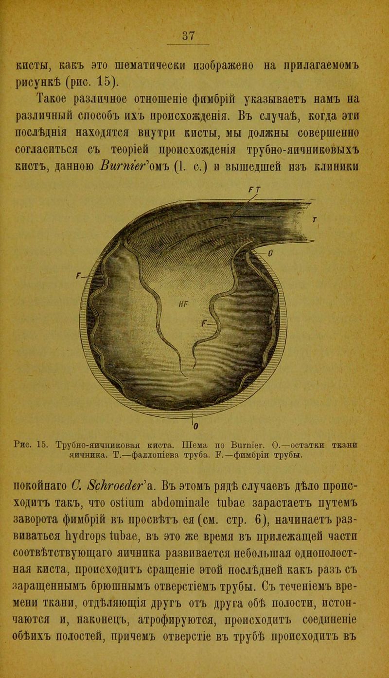 кисты, какъ это тематически изображено на прилагаемомъ рисункѣ (рис. 15). Такое различное отношеніе фимбрій указываетъ намъ на различный способъ ихъ происхожденія. Въ случаѣ, когда эти послѣднія находятся внутри кисты, мы должны совершенно согласиться съ теоріей происхожденія трубно-яичниковыхъ кистъ, данною Вигтег'омъ (1. с.) и вышедшей изъ клиники ГТ Рис. 15. Трубно-яичниковая киста. Шема по Вигпіег. О.—остатки ткани яичника. Т.—фаллопіева труба. Р.—фимбріи трубы. покойнаго С. 8фгоейег\. Въ этомъ рядѣ случаевъ дѣло проис- ходитъ такъ, что озііит аМотінаІе іиЬае зарастаетъ путемъ заворота фимбрій въ просвѣтъ ея (см. стр. 6), начинаетъ раз- виваться йуйгорз ВіЪае, въ это же время въ прилежащей части соотвѣтствующаго яичника развивается небольшая однополост- ная киста, происходитъ сращеніе этой послѣдней какъ разъ съ заращеннымъ брюшнымъ отверстіемъ трубы. Съ теченіемъ вре- мени ткани, отдѣляющія другъ отъ друга обѣ полости, истон- чаются и, наконецъ, атрофируются, происходитъ соединеніе обѣихъ полостей, причемъ отверстіе въ трубѣ происходитъ въ