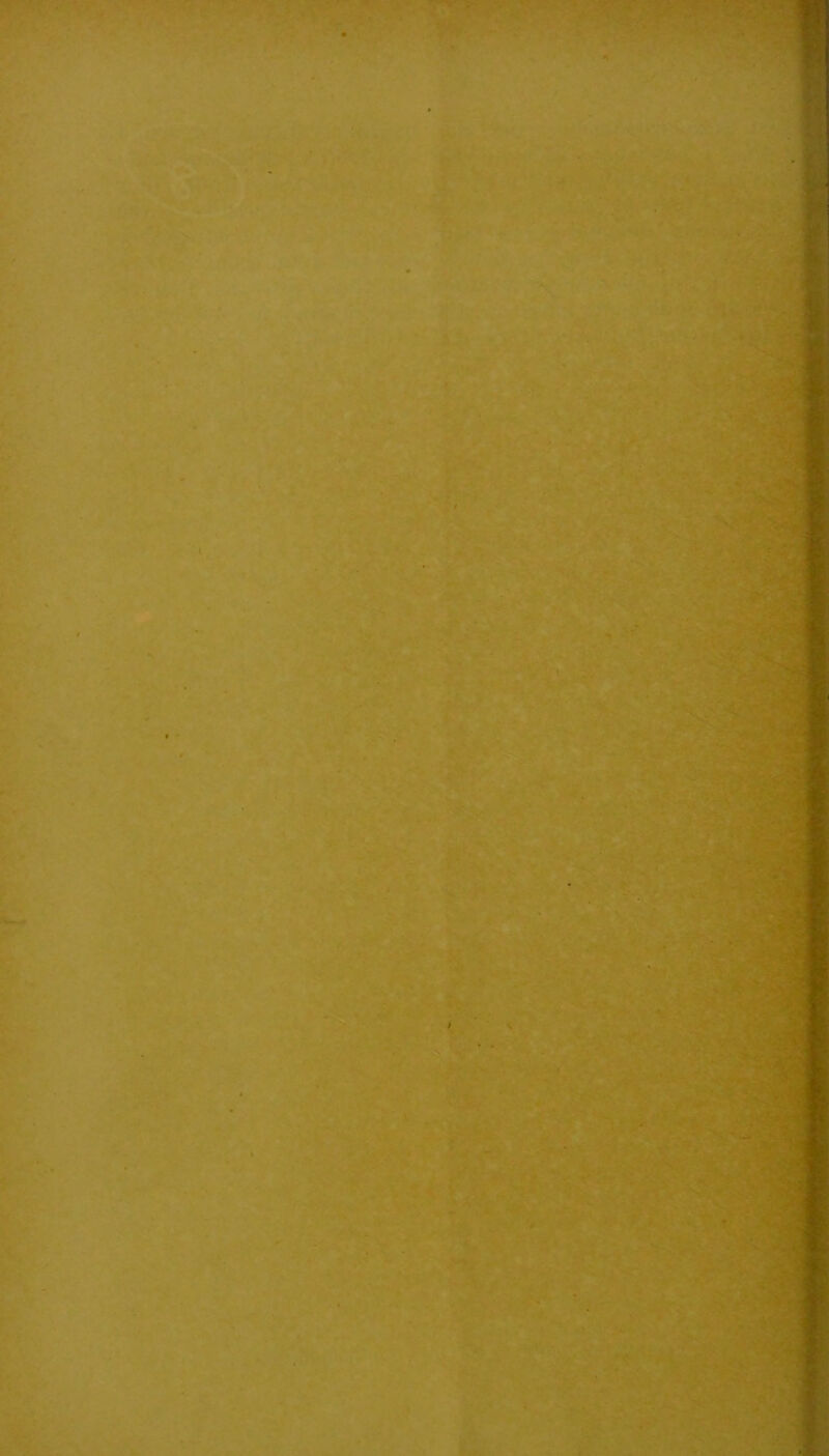 • ti 4'^ ■ iy ' [ ■- ’nr' “ / '■ • ' .'• * • ■ ' V \. ■^.i ' ■1 ;1 ij ! 1 [ ^ I