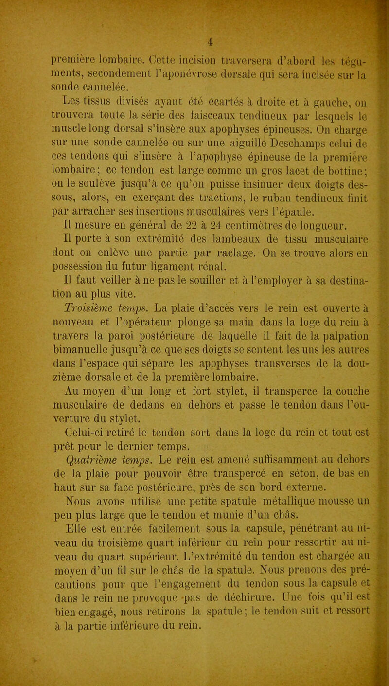 première lombaire. Cette incision traversera d’abord les tégu- ments, secondement l’aponévrose dorsale qui sera incisée sur la sonde cannelée. Les tissus divisés ayant été écartés à droite et à gauche, on trouvera toute la série des faisceaux tendineux par lesquels le muscle long dorsal s’insère aux apophyses épineuses. On charge sur une sonde cannelée ou sur une aiguille Deschamps celui de ces tendons qui s’insère à l’apophyse épineuse de la première lombaire; ce tendon est large comme un gros lacet de bottine; on le soulève jusqu’à ce qu’on puisse insinuer deux doigts des- sous, alors, en exerçant des tractions, le ruban tendineux finit par arracher ses insertions musculaires vers l’épaule. Il mesure en général de 22 à 24 centimètres de longueur. Il porte à sou extrémité des lambeaux de tissu musculaire dont on enlève une partie par raclage. On se trouve alors eu possession du futur ligament rénal. Il faut veiller à ne pas le souiller et à l’employer à sa destina- tion au plus vite. Troisième temps. La plaie d’accès vers le rein est ouverte à nouveau et l’opérateur plonge sa main dans la loge du rein à travers la paroi postérieure de laquelle il fait de la palpation bimanuelle jusqu’à ce que ses doigts se sentent les uns les autres dans l’espace qui sépare les apophyses transverses de la dou- zième dorsale et de la première lombaire. Au moyen d’un long et fort stylet, il transperce la couche musculaire de dedans en dehors et passe le tendon dans l’ou- verture du stylet. Celui-ci retiré le tendon sort dans la loge du rein et tout est prêt pour le dernier temps. Quatrième temps. Le rein est amené suffisamment au dehors de la plaie pour pouvoir être transpercé en séton, de bas en haut sur sa face postérieure, près de son bord externe. Nous avons utilisé une petite spatule métallique mousse un peu plus large que le tendon et munie d’un châs. Elle est entrée facilement sous la capsule, pénétrant au ni- veau du troisième quart inférieur du rein pour ressortir au ni- veau du quart supérieur. L’extrémité du tendon est chargée au moyen d’un lil sur le châs de la spatule. Nous prenons des pré- cautions pour que l’engagement du tendon sous la capsule et dans le rein ne provoque -pas de déchirure. Une fois qu’il est bien engagé, nous retirons la spatule ; le tendon suit et ressort à la partie inférieure du rein.