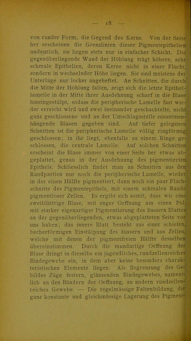 von runder Form, die Gegend des Kerns. Von der Seite her erscheinen die Grenzlinien dieser Pigmentepithelien undeutlich, sie liegen stets nur in einfacher Schicht. Die gegenüberliegende Wand der Höhlung trägt höhere, sehr schmale Epithclien, deren Kerne nicht in einer Flucht, sondern in wechselnder Höhe liegen. Sie sind meistens der Unterlage nur locker angeheftet. An Schnitten, die durch die Mitte der Höhlung fallen, zeigt sich die letzte Epithel- lamelle in der Mitte ihrer Ausdehnung scharf in die Blase hineingestülpt, sodass die peripherische Lamelle fast wie- der erreicht wird und zwei ineinander geschachtelte, nicht ganz geschlossene und an der Umschlagsstelle zusammen- hängende Blasen gegeben sind. Auf tiefer gelegenen Schnitten ist die peripherische Lamelle völlig ringförmig, geschlossen; in ihr liegt, ebenfalls zu einem Ringe ge- schlossen, die centrale Lamelle. Auf solchen Schnitten erscheint die Blase immer von einer Seite her etwas ab-', geplattet, genau in der Ausdehnung des pigmentierten Epithels. Schliesslich findet man an Schnitten aus den Randpartien nur noch die peripherische Lamelle, wieder 1 in der einen Hälfte pigmentiert, dann noch ein paar Flach- schnitte des Pigmentepithels, mit einem schmalen Rande pigmentloser Zellen. Es ergibt sich somit, dass wir eine zweiblättrige Blase, mit enger Oeffnung am einen Pol,;:» mit starker eigenartiger Pigmentierung des äussern Blattes an der gegenüberliegenden, etwas abgeplatteten Seite vor uns haben; das innere Blatt besteht aus einer schiefen, becherförmigen Einstülpung des äussern und aus Zellen,- t welche mit denen der pigmentfreien Hälfte desselben übereinstimmen. Durch die mundartige Oeffnung der Blase dringt in dieselbe ein jugendliches, rundzellenreiches Bindegewebe ein, in dem aber keine besonders charak- teristischen Elemente liegen. Als Begrenzung des Ge- bildes Züge festem, glänzenden Bindegewebes, nament- lich an den Bändern der Oeffnung, an andern rundzellen- reiches Gewebe. — Die regelmässige Faltenbildung, die ganz konstante und gleichmässige Lagerung des Pigment-