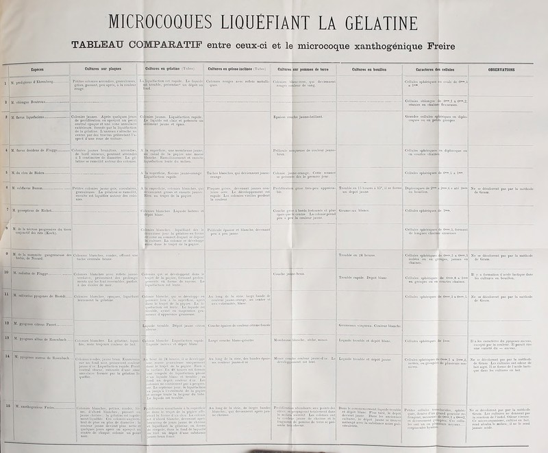 MICROCOQUES LIQUEFIANT LA GELATINE TABLEAU COMPARATIF entre ceux-ci et le microcoque xanthogénique Freire — surplus Cultures en flélatine (Tubes) Cultures en gélose inclinée (Tubes) Cultures sur pommes de terre Cultures en bouillon Caractères de iscecu.es OBSERVATIONS 1 SI. prodigiosus d’Ehrenberg Çoto rouges avec reflets métalli- Colonies K Gel,nies sphériques ,u ovale de 0—,5 2 “ “llM6U! B°Ulro“ CSSs»e Vxueusês0'”2’ S cp!S 4 M. flavus desidcns do Flugge fe liqueuse de couleur jaune- R*-' r® 5 -\r ^ 1 i h- i Aàxs Cellules sphériques 1. 0»»,é a 1»» orange. se présen J^preSII'i^^6 6 ‘jss^ “g.f;£S“3”2 | Sr’se tris peu apprécia- DM^e2“! 2mu.i6 e até 3min NdeSGmml0rent *** P 1U méth°de 7 s TSS fffÉsB Grumeaux blancs. Cellules s h' ra j C1|p« bwte- Lvui° !jj&cl Ü|Sp'jourSl| géïaUne en forme pSFtiSÏÏSF m do longues cLul , Ja 9 Trouble en 24 heures. P&t^Jpârîi Ne se^colomut pas par .«méthode 10 12 13 M. mdiutus de Flugge Iflii ss H-v: Couche jai Xr„ub,e rapide. Lepét b,anc. «r: M. pyogeues citreus Passct pSSP jÆellules sphériques dd 0».a.,3 a Oa»,5. |rcûr.‘r0aWe- citron Grumeaux visqueux. Couleur blanche. M. pyogène », bu. de Roseubach Large couche blanc-grisiitre. blanche, sécbe, mince. Liquide trouble et dépôt blanc. p,es sphériques lia. M. pyogenos aurons de Rosenbacli... MÊÊ |gS*S îm ^couleur puruo-d,. Le Liquide trouble et dépôt jaune. kfüi piP^ i ■■ JÉjg^ mm ESiEi*“r“11 IIËÉ§