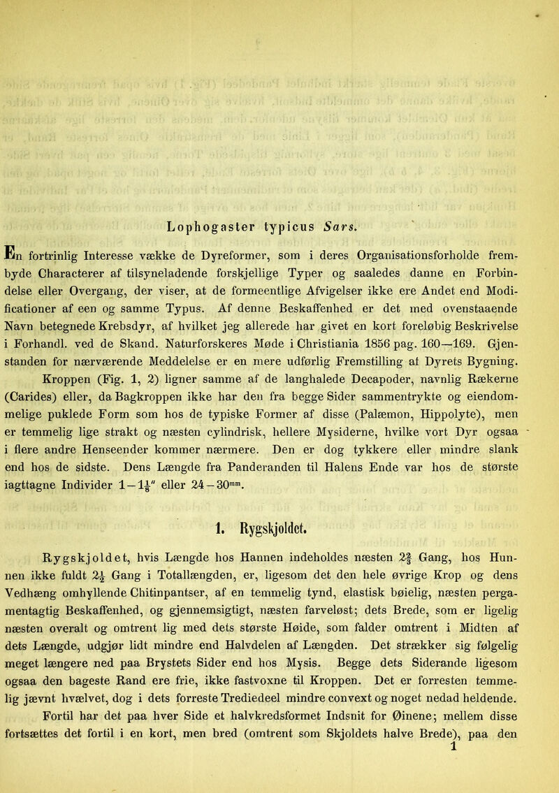 Lophogaster typicus Sars. En fortrinlig Interesse vække de Dyreformer, som i deres Organisationsforholde frem- byde Characterer af tilsyneladende forskjellige Typer og saaledes danne en Forbin- delse eller Overgang, der viser, at de formeentlige Afvigelser ikke ere Andet end Modi- ficationer af een og samme Typus. Af denne Beskaffenhed er det med ovenstaaende Navn betegnede Krebsdyr, af hvilket jeg allerede har givet en kort foreløbig Beskrivelse i Forhandl, ved de Skand. Naturforskeres Møde i Christiania 1856 pag. 160—169. Gjen- standen for nærværende Meddelelse er en mere udførlig Fremstilling at Dyrets Bygning. Kroppen (Fig. 1, 2) ligner samme af de langhalede Decapoder, navnlig Rækerne (Carides) eller, da Bagkroppen ikke har den fra begge Sider sammentrykte og eiendom- melige puklede Form som hos de typiske Former af disse (Palæmon, Hippolyte), men er temmelig lige strakt og næsten cylindrisk, hellere Mysiderne, hvilke vort Dyr ogsaa i flere andre Henseender kommer nærmere. Den er dog tykkere eller mindre slank end hos de sidste. Dens Længde fra Panderanden til Halens Ende var hos de største iagttagne Individer 1 —1£ eller 24 — 30mm. 1. Rygskjoldet. Rygskjoldet, hvis Længde hos Hannen indeholdes næsten 2| Gang, hos Hun- nen ikke fuldt 2£ Gang i Totallængden, er, ligesom det den hele øvrige Krop og dens Vedhæng omhyllende Chitinpantser, af en temmelig tynd, elastisk bøielig, næsten perga- mentagtig Beskaffenhed, og gjennemsigtigt, næsten farveløst; dets Brede, som er ligelig- næsten overalt og omtrent lig med dets største Høide, som falder omtrent i Midten af dets Længde, udgjør lidt mindre end Halvdelen af Længden. Det strækker sig følgelig meget længere ned paa Brystets Sider end hos Mysis. Begge dets Siderande ligesom ogsaa den bageste Rand ere frie, ikke fastvoxne til Kroppen. Det er forresten temme- lig jævnt hvælvet, dog i dets forreste Trediedeel mindre convext og noget nedad heldende. Fortil har det paa hver Side et halvkredsformet Indsnit for Øinene; mellem disse fortsættes det fortil i en kort, men bred (omtrent som Skjoldets halve Brede), paa den