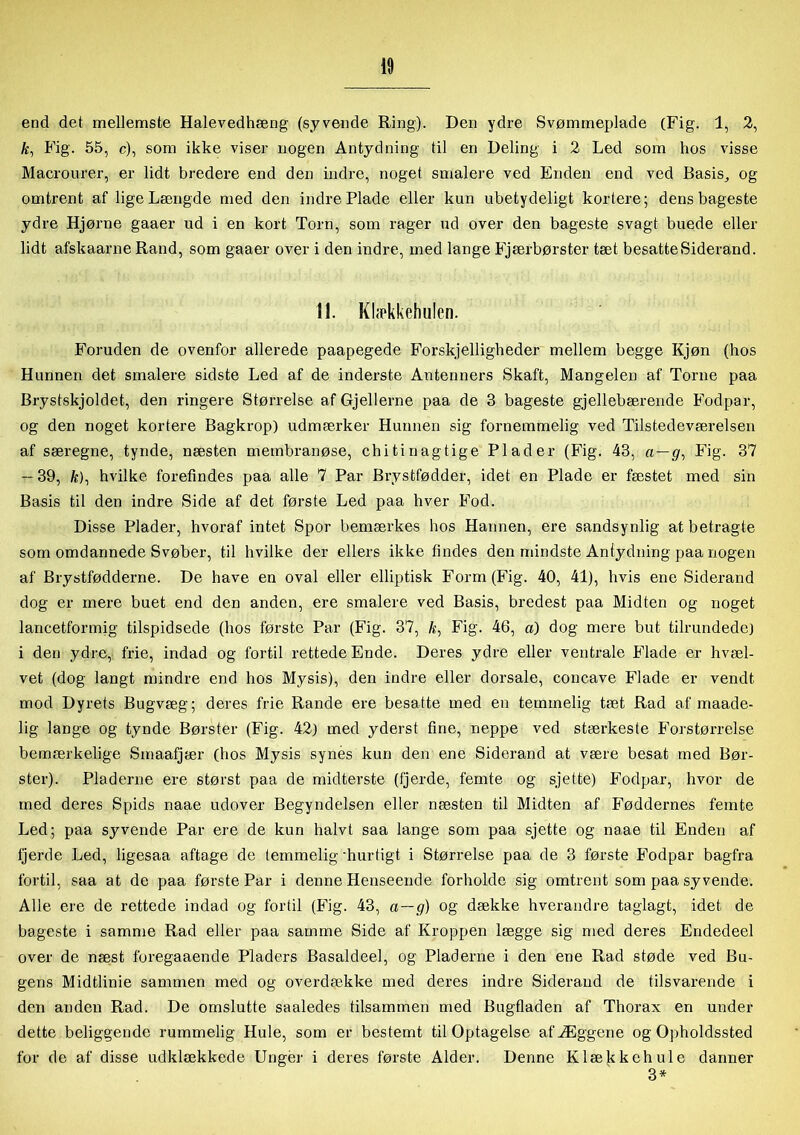 end det mellemste Halevedhæng (syvende Ring). Den ydre Svømmeplade (Fig. 1, 2, ft, Fig. 55, c), som ikke viser nogen Antydning til en Deling i 2 Led som hos visse Macrourer, er lidt bredere end den indre, noget smalere ved Enden end ved Basis, og omtrent af lige Længde med den indre Plade eller kun ubetydeligt kortere; dens bageste ydre Hjørne gaaer ud i en kort Torn, som rager ud over den bageste svagt buede eller lidt afskaarne Rand, som gaaer over i den indre, med lange Fjærbørster tæt besatte Siderand. 11. Klækkehulcn. Foruden de ovenfor allerede paapegede Forskjelligheder mellem begge Kjøn (hos Hunnen det smalere sidste Led af de inderste Antenners Skaft, Mangelen af Torne paa Brystskjoldet, den ringere Størrelse af Gjellerne paa de 3 bageste gjellebærende Fodpar, og den noget kortere Bagkrop) udmærker Hunnen sig fornemmelig ved Tilstedeværelsen af særegne, tynde, næsten membranøse, chitinagtige Plader (Fig. 43, a—g, Fig. 37 — 39, ft), hvilke forefindes paa alle 7 Par Brystfødder, idet en Plade er fæstet med sin Basis til den indre Side af det første Led paa hver Fod. Disse Plader, hvoraf intet Spor bemærkes hos Hannen, ere sandsynlig at betragte som omdannede Svøber, til hvilke der ellers ikke findes den mindste Antydning paa nogen af Brystfødderne. De have en oval eller elliptisk Form (Fig. 40, 41), hvis ene Siderand dog er mere buet end den anden, ere smalere ved Basis, bredest paa Midten og noget lancetformig tilspidsede (hos første Par (Fig. 37, ft, Fig. 46, a) dog mere but tilrundede) i den ydre, frie, indad og fortil rettede Ende. Deres ydre eller ventrale Flade er hvæl- vet (dog langt mindre end hos Mysis), den indre eller dorsale, concave Flade er vendt mod Dyrets Bugvæg; deres frie Rande ere besatte ined en temmelig tæt Rad af maade- lig lange og tynde Børster (Fig. 42) med yderst fine, neppe ved stærkeste Forstørrelse bemærkelige Smaafjær (hos Mysis synes kun den ene Siderand at være besat med Bør- ster). Pladerne ere størst paa de midterste (fjerde, femte og sjette) Fodpar, hvor de med deres Spids naae udover Begyndelsen eller næsten til Midten af Føddernes femte Led; paa syvende Par ere de kun halvt saa lange som paa sjette og naae til Enden af fjerde Led, ligesaa aftage de temmelig'hurtigt i Størrelse paa de 3 første Fodpar bagfra fortil, saa at de paa første Par i denne Henseende forholde sig omtrent som paa syvende. Alle ere de rettede indad og fortil (Fig. 43, a—g) og dække hverandre taglagt, idet de bageste i samme Rad eller paa samme Side af Kroppen lægge sig med deres Endedeel over de næst foregaaende Pladers Basaldeel, og Pladerne i den ene Rad støde ved Bu- gens Midtlinie sammen med og overdække med deres indre Siderand de tilsvarende i den anden Rad. De omslutte saaledes tilsammen med Bugfladen af Thorax en under dette beliggende rummelig Hule, som er bestemt til Optagelse af Æggene og Opholdssted for de af disse udklækkede Unger i deres første Alder. Denne Klækkchule danner 3*