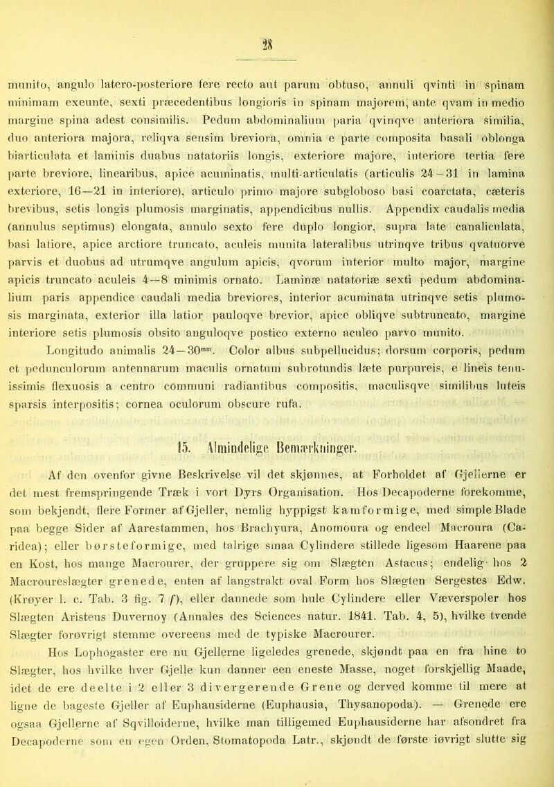 munito, angulo latero-posteriore fere recto aut param obtuso, annuli qvinti in spinam minimam exeunte, sexti præcedentibus longiovis in spinam majorem, ante qvam in medio margine spina adest consimilis. Pedum abdominalium paria qvinqve anteriora similia, duo anteriora majora, reliqva sensim breviora, omnia e parte composita basali oblonga biarticulata et laminis duabus natatoriis longis, exteriore majore, interiore tertia fere parte breviore, linearibus, apice acuminatis, multi-articulatis (articulis 24-31 in lamina exteriore, 16—21 in interiore), articulo primo majore subgloboso basi coaretata, eæteris brevibus, setis longis plumosis marginatis, appendicibus nullis. Appendix caudalis media (annulus septimus) elongata, annulo sexto fere duplo longior, supra late canaliculata, basi latiore, apice arctiore truncato, aculeis munita lateralibus utrinqve tribus qvatuorve parvis et duobus ad utrumqve angulum apicis, qvorum interior multo major, margine apicis truncato aculeis 4 — 8 minimis ornato. Larninæ natatoriæ sexti pedum abdomina- lium paris appendice caudali media breviores, interior acuminata ntrinqve setis plumo- sis marginata, exterior illa latior pauloqve brevior, apice obliqve subtruncato, margine interiore setis plumosis obsito anguloqve postico externo aculeo parvo munito. Longitudo animalis 24 —30mm. Color albus subpellucidus; dorsum corporis, pedum et pedunculorum antennarum maculis ornatum subrotundis læte purpureis, e lineis tenu- issimis flexuosis a centro communi radiantibus compositis, maculisqve similibus luteis sparsis interpositis; cornea oculorum obscure rufa. 15. Almindelige Bemærkninger. Af' den ovenfor givne Beskrivelse vil det skjønnes, at Forholdet af Gjeilerne er det mest fremspringende Træk i vort Dyrs Organisation. Hos Decapoderne forekomme, som bekjendt, flere Former afGjeller, nemlig hyppigst kamformige, med simple Blade paa begge Sider af Aarestammen, hos Brachyura, Anomoura og endeel Macroura (Ca- ridea); eller bør steformige, med talrige smaa Cylindere stillede ligesom Haarene paa en Kost, hos mange Macrourer, der gruppere sig om Slægten Astacus; endelig-hos 2 Macroureslægter grenede, enten af langstrakt oval Form hos Slægten Sergestes Edw. (Krøyer 1. c. Tab. 3 fig. 7 /*), eller dannede som hule Cylindere eller Væverspoler hos Slægten Aristeus Duvernoy (Annales des Sciences natur. 1841. Tab. 4, 5), hvilke tvende Slægter forøvrigt stemme overeens med de typiske Macrourer. Hos Lophogaster ere nu Gjeilerne ligeledes grenede, skjøndt paa en fra hine to Slægter, hos hvilke hver Gjelle kun danner een eneste Masse, noget forskjellig Maade, idet de ere deelte i 2 eller 3 divergerende Grene og derved komme til mere at ligne de bageste Gjeller af Euphausiderne (Euphausia, Thysanopoda). — Grenede ere ogsaa Gjeilerne af Sqvilloiderne, hvilke man tilligemed Euphausiderne har afsondret fra Decapoderne som en egen Orden, Stomatopoda Latr., skjøndt de første iøvrigt slutte sig