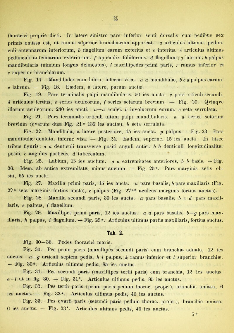 thoracici proprie dicti. In latere sinistre pars inferior scuti dorsalis cum pedibus sex primis omissa est, ut ramus su'perior branchiarum appareat. a articulus ultimus pedun- culi antennarum iuteriorum, b flagelium earum exterius et c interius, e articulus ultimus pedunculi antennarum exteriorum, f appendix foliiformis, d flagelium; g labrum, h palpus mandibularis (niinium longus delineatus), i maxillipedes primi paris, r ramus inferior et s superior branchiarum. Fig. 17. Mandibulæ cum labro, interne visse, a a mandibulæ, b c d palpus earum. e labrum. — Fig. 18. Eædem, a latere, parum auctse. Fig. 19. Pars terminalis palpi mandibularis, 50 ies aucta. c pars articuli secundi, d articulus tertius, e series aculeorum, f series setarum brevium. — Fig. 20. Qvinqve illorum aculeorum, 240 ies aucti. a—o aculei, b involucrum eorum, c seta serrulata. Fig. 21. Pars terminalis articuli ultimi palpi mandibularis. a—a series setarum brevium (qvarum duæ Fig. 21 * 135 ies auctse), b seta serrulata. Pig. 22. Mandibula, a latere posteriore, 15 ies aucta. p palpus. — Fig. 23. Pars mandibulæ dentata, inferne visa. — Fig. 24. Eadein, superne, 15 ies aucta. In hisce tribus figuris: a a denticuli transverse positi anguli antici, b b dentieuli longitudinaliter positi, c angulus posticus, d tuberculum. Fig. 25. Labium, 15 ies auctum. a a extremitates anteriores, b b basis. — Fig. 26. Idem, ab antica extremitate, minus auctum. — Pig. 25*. Pars marginis setis ob- siti, 65 ies aucta. Fig. 27. Maxilla primi paris, 15 ies aucta. a pars basalis, b pars maxillaris (Fig. 27* seta marginis fortius aucta), c palpus (Fig. 27 * * aculeus marginis fortitis auctus). Fig. 28. Maxilla secundi paris, 30 ies aucta. a pars basalis, bed pars maxil- laris, e palpus, f flagelium. Fig. 29. Maxillipes primi paris, 12 ies auctus. a a pars basalis, b—g pars max- illaris, h palpus, i flagelium. — Fig. 29*. Articulus ultimus partis maxillaris, fortius auctus. Tab. 2. Fig. 30—36. Pedes thoracici maris. Fig. 30. Pes primi paris (maxillipes secundi paris) cum branchia adnata, 12 ies auctus. a—g articuli septem pedis, h i palpus, k ramus inferior et / superior branchiæ. — Fig. 30*. Articulus ultimus pedis, 85 ies auctus. Fig. 31. Pes secundi paris (maxillipes tertii paris) cum branchia, 12 ies auctus. n — l ut in fig. 30. — Fig. 31*. Articulus ultimus pedis, 85 ies auctus. Fig. 32. Pes tertii paris (primi paris pedum thorac. propr.), branchia omissa, 6 ies auctus. — Fig. 32*. Articulus ultimus pedis, 40 ies auctus. Fig. 33. Pes qvarti paris (secundi paris pedum thorac. propr.), branchia omissa, 6 ies auctus. — Fig. 33*. Articulus ultimus pedis, 40 ies auctus. 5 *