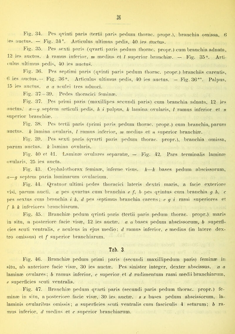 Fis;. 34. Pes qvinti paris (tertii paris pedum thorac. propr.), branchia omissa, 6 >es auctus. — Fig. 34*. Articulus ultimus pedis, 40 ies auctus. Fig. 35. Pes sexti paris (qvarti paris pedum thorac. propr.) cum branchia adnata, 12 ies auctus. k ramus inferior, m medius et l superior branchiæ. — Fig. 35*. Arti- culus ultimus pedis, 40 ies auctus. Fig. 36. Pes septimi paris (qvinti paris pedum thorac. propr.) branchiis carentis, 6 ies auctus.— Fig. 36*. Articulus ultimus pedis, 40 ies auctus. — Fig. 36**. Palpus, 15 ies auctus. a a aculei tres adunci. Fig. 37 — 39. Pedes thoracici feminæ. Fig. 37. Pes primi paris (maxillipes secundi paris) cum branchia adnata, 12 ies auctus. a—g septem articuli pedis, h i palpus, k lainina ovularis, l ramus inferior et n superior branchiæ. Fig. 38. Pes tertii paris (primi paris pedum thorac. propr.) cum branchia, parum auctus. k latnina ovularis, I ramus inferior, m medius et n superior branchiæ. Fig. 39. Pes sexti paris (qvarti paris pedum thorac. propr.), branchia omissa, parum auctus. h lamina ovularis. Fig. 40 et 41. Laminæ ovulares separatæ. — Fig. 42. Pars terminalis laminæ ovularis, 25 ies aucta. Fig. 43. Cephalothorax feminæ, inferne visus. k—k bases pedum abscissorum, n—g septem paria laminarum ovularium. Fig. 44. Qvatuor ultimi pedes thoracici lateris dextri maris, a faeie exteriore visi, parum aucti. a pes qvartus cum branchia e /’, b pes qvintus cum branchia g /i, r pes sextus cum branchia i k, d pes septimus branchia carens; e g i rami superiores et f k k inferiores branchiarum. Fig. 45. Branchiæ pedum qvinti paris (tertii paris pedum thorac. propr.) maris in situ, a posteriore faeie visæ, 12 ies auetæ. a a bases pedum abscissorum, b superfi- cies scuti ventralis, c aculeus in ejus medio; d ramus inferior, e medius (in latere dex- tro omissus) et f superior branchiarum. Tab. 3 Fig. 46. Branchiæ pedum primi paris (secundi maxillipedum paris) feminæ in situ, ab anteriore faeie visæ, 30 ies auetæ. Pes sinister integer, dexter abscissus. a a laminæ ovulares; b ramus inferior, c superior et d rudimentum rami medii branchiarum, e superficies scuti ventralis. Fig. 47. Branchiæ pedum qvarti paris (secundi paris pedum thorac. propr.) fe- minæ in situ, a posteriore faeie visæ, 30 ies auetæ. .<? .? bases pedum abscissorum, la- laminis ovularibus omissis; a superficies scuti ventralis cum fasciculis 4 setarum; b ra- mus inferior, d medius et c superior branchiarum.