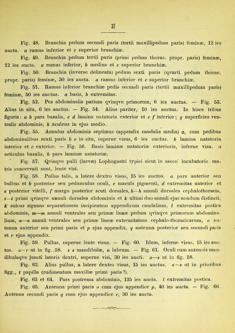 Fig. 48. Branchia pedum secundi paris (tertii maxillipedum paris) feminæ, 12 ies aucta. a ramus inferior et c superior branchiæ. Fig. 49. Branchia pedum tertii paris (primi pedum thorac. propr. paris) feminæ, 12 ies aucta. a ramus inferior, b medius et c superior branchiæ. Fig. 50. Branchia (inverse delineata) pedum sexti paris (qvarti pedum thorac. propr. paris) feminæ, 30 ies aucta. a ramus inferior et c superior branchiæ. Fig. 51. Ramus inferior branchiæ pedis secundi paris (tertii maxillipedum paris) feminæ, 50 ies auctus. a basis, b extremitas. Fig. 52. Pes abdominalis parium qvinqve primorum, 6 ies auctus. — Fig. 53. Alius in situ, 6 ies auctus. — Fig. 54. Alius pariter, 10 ies auctus. In hisce tribus figuris: a b pars basalis, c d lamina natatoria exterior et e f interior; g superficies ven- tralis abdominis, h aculeus in ejus medio. Fig. 55. Annulus abdominis septimus (appendix caudalis media) es, cum pedibus abdominalibus sexti paris b c in situ, superne visus, 6 ies auctus. b lamina natatoria interior et c exterior. — Fig. 56. Basis laminæ natatoriæ exterioris, inferne visa. a articulus basalis, b pars laminæ natatoriæ. Fig. 57. Qvinqve pulli (larvæ) Lophogastri typici sicut in sacco incubatorio ma- tris coacervati sunt, len te visi. Fig. 58. Pullus talis, a latere dextro visus, 15 ies auctus. a pars anterior seu bulbus et b posterior seu pedunculus oculi, c macula pigmenti, d extremitas anterior et e posterior vitelli, f margo posterior scuti dorsales, h— h annuli dorsales eephalothoracis, *—i primi qvinqve annuli dorsales abdominis et k ult.imi duo annuli ejus nondum distincti, k‘ sulcus signans separationem incipientem appendicum caudalium, l extremitas postica. abdominis, m—m annuli ventrales seu primæ lineæ pedum qvinqve primorum abdomina- lium, n—n annuli ventrales seu primæ lineæ extremitatum cephalo-thoracicarum, o an- tenna anterior seu primi paris et p ejus appendix, q antenna posterior seu secundi paris et r ejus appendix. Fig. 59. Pullus, superne lente visus. — Fig. 60. Idem, inferne visus, 15 ies auc- tus. a—r ut in fig. .58. s s mandibulæ, u labrum. — Fig. 61. Oculi cum antennis man- dibulaqve juncti lateris dextri, superne visi, 30 ies aucti. a—s ut in fig. 58. Fig. 62. Alius pullus, a latere dextro visus, 15 ies auctus. a — s ut in prioribus figg., t papilla (rudimentum maxillæ primi paris?). Fig. 63 et 64. Pars postrema abdominis, 135 ies aucta. / extremitas postica. Fig. 65. Antenna primi paris o cum ejus appendice p, 40 ies aucta. — Fig. 66. Antenna secundi paris q cum ejus appendice r, 30 ies aucta.