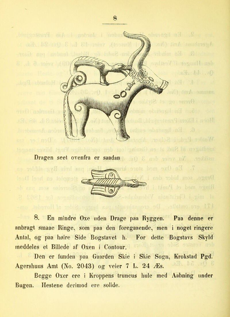 8. En mindre Oxe uden Drage paa Ryggen. Paa denne er anbragt smaae Ringe, som paa den foregaaende, men i noget ringere Antal, og paa høire Side Bogstavet h. For dette Bogstavs Skyld meddeles et Billede af Oxen i Contour. Den er funden paa Gaarden Skie i Skie Sogn, Krokstad Pgd. Agershuus Amt (No. 2043) og veier 7 L. 24 Æs. Begge Oxer ere i Kroppens truncus hule med Aabning under Bugen. Hestene derimod ere solide.