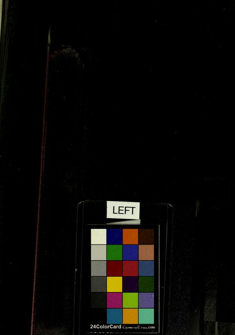 No text description is available for this image