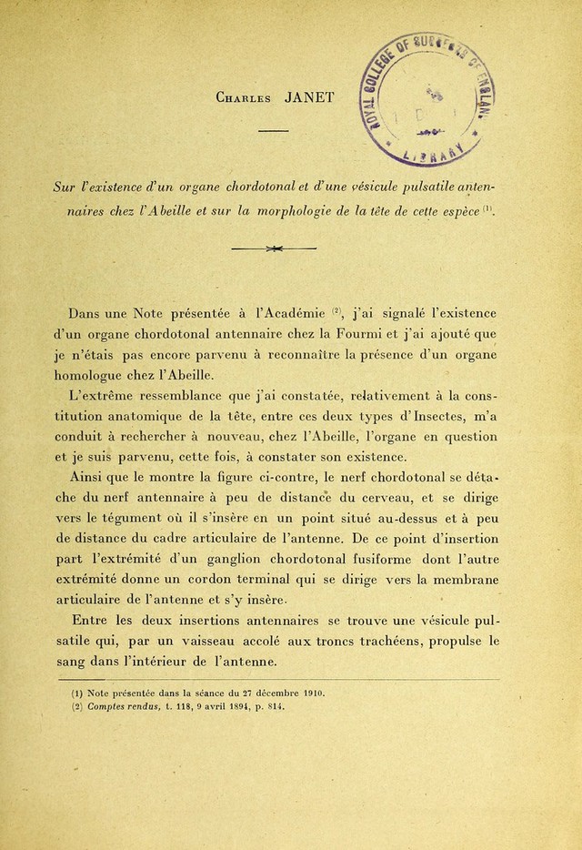 digitised image 3