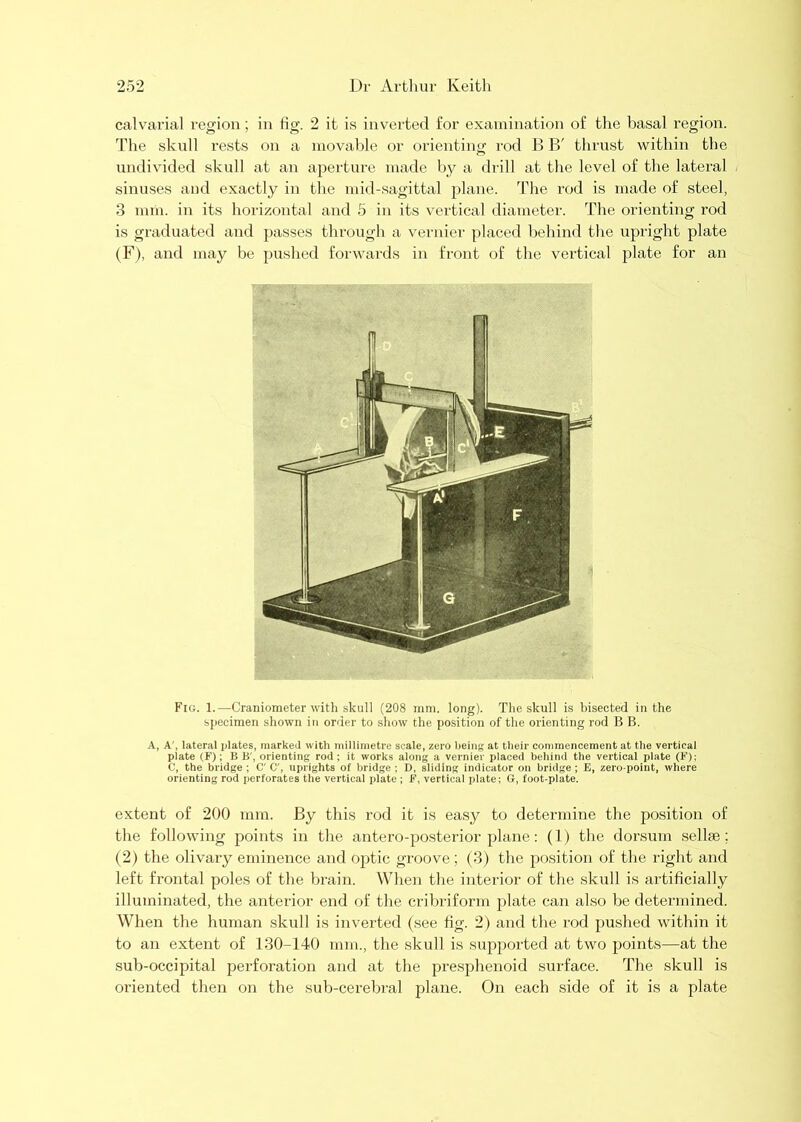 calvarial region; in fig. 2 it is inverted for examination of the basal I’egion. The skull rests on a movable or orienting rod B B' thrust within the undivided skull at an aperture made by a drill at the level of the lateral sinuses and exactly in the mid-sagittal jilane. The rod is made of steel, 3 mm. in its horizontal and 5 in its vertical diameter. The orienting rod is graduated and passes through a vernier placed behind the upright plate (F), and may be })ushcd forwards in front of the vertical plate for an Fig. 1.—Craniometer with skull (208 mm. long). The skull is bisected in the specimen shown in order to show the position of the orienting rod B B. A, A', lateral plates, marked with millimetre scale, zero being at their commencement at the vertical plate (F); B B', orienting rod; it works along a vernier placed beliind the vertical plate (F); C, the bridge ; C' C', uprights of bridge ; D, sliding indicator on bridge ; E, zero-point, where orienting rod perforates the vertical plate ; F, vertical plate; G, foot-plate. extent of 200 mm. By this rod it is easy to determine the position of the following points in the antero-posterior plane: (1) the dorsum sellm; (2) the olivary eminence and optic groove; (3) tlie position of the right and left frontal poles of the brain. When the interior of the skull is artificially illuminated, the anterior end of the cribriform plate can also be determined. When the human skull is inverted (see fig. 2) and the rod pushed within it to an extent of 130-140 mm., the skull is supported at two points—at the sub-occipital perforation and at the presphenoid surface. The skull is oriented then on the sub-cerebral plane. On each side of it is a plate