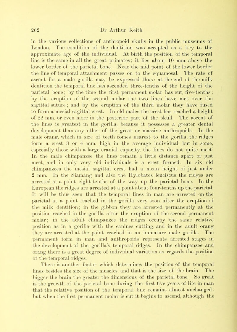 in the variolas collections of anthropoid skulls in the public rauseuins of London. The condition of the dentition was accepted as a key to the approximate age of the individual. At birth the position of the tempoi-al line is the same in all the great primates; it lies about 10 mm. above tlie lower border of the parietal bone. Near the mid point of the lower border the line of temporal attaclnnent passes on to the S(juamosal. The rate of ascent for a male gorilla may be expressed thus: at the end of the milk dentition tlie temporal line has ascended three-tenths of the height of the parietal bone; by the time the first permanent molar has cut, five-tenths; by the eruption of the second molar the two lines have met over the sagittal sutui’e; and by the eruption of the third molar they have fused to form a mesial saAttal crest. In old males the crest has reached a height of 22 mm. or even more in the posterior part of the skull. The ascent of the lines is greatest in the gorilla, because it possesses a greater dental development tban any other of the gi’eat or massive anthropoids. Iia the male orang, which in size of teeth comes nearest to the gorilla, the ridges form a crest 3 or 4 mm. high in the avei'age individual, but in sonae, especially those with a liirge ci’anial capacity, the lines do not quite meet. In the male chimpanzee the lines remain a little distance apart or just meet, and iia only very old individuals is a crest formed. In six old chimpanzees the mesial sagittal ci’est had a mean height of just under 2 nam. In the Siamang and also the Hylobates leuciscus the ridges ai’e airested at a point eight-tenths of the way up the parietal bone. In the European the ridges are arrested at a point about four-tenths up the parietal. It will be thus seen that the tempoi’al lines in man ai'e arrested on the parietal at a point reached in the gorilla very soon after the eruption of the milk dentition; in the gibbon they are arrested permanently at the position reached in the gorilla after the eruption of the second permanent molar; in the adult chimpanzee the ridges occupy the same relative position as in a gorilla with the canines cutting, and in the adult orang they are aiTested at the piaint reached in an immature male gorilla. The permanent form in man and anthropoids repr’esents arrested stages in the development of the goillla’s temporal ridges. In the chimpanzee and orang there is a great degree of individual variation as regards the position of the temporal ridges. There is another factor which detea-mines the position of the tempoa’al lines besides the size of the laauscles, and that is the size of the ba-ain. The bigger the brain the gi’eater the dimensions of the pai-ietal bone. So gi-eat is the growth of the parietal bone diaring tlie first five yeai’s of life in man that the relative position of the temporal line remains almost unchanged; but when the first permanent molar is cut it begins to ascend, although the