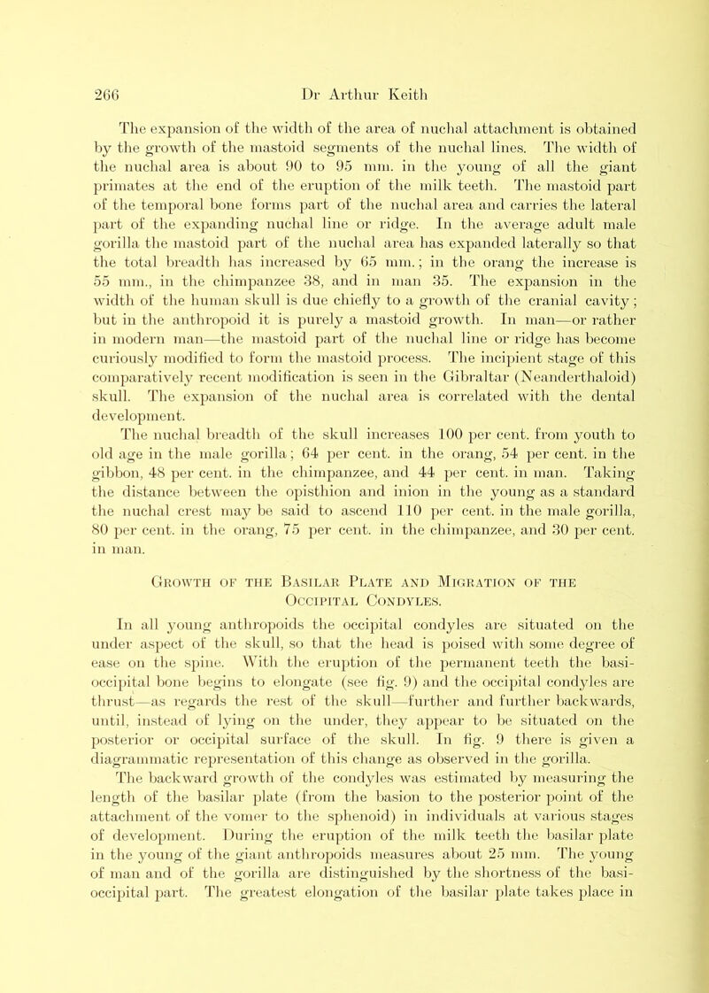 The expansion of the width of the area of nuchal attachment is obtained by the growth of the mastoid segments of the nuchal lines. The width of the nuchal area is about 90 to 95 mm. in the young of all the giant primates at the end of the eruption of the milk teeth. The mastoid part of the temporal bone forms part of the nuchal area and carries the lateral part of the expanding nuchal line or ridge. In the average adult male gorilla the mastoid part of the nuchal area has expanded laterally so that the total breadth has increased by (55 mm.; in the orang the increase is 55 mm., in the chimpanzee 38, and in man 35. The expansion in the width of the human skull is due chiefly to a growth of the cranial cavity; hut in the anthropoid it is purely a mastoid growth. In man—or rather in modern man—the mastoid part of the nuchal line or ridge has become curiously modified to form the mastoid process. The incij)ient stage of this comparatively recent modification is seen in the Gibraltar (Neanderthaloid) skull. The expansion of the nuchal area is correlated with the dental development. The nuchal breadth of the skull increases TOO per cent, from youth to old age in the male gorilla; 04 per cent, in the orang, 54 per cent, in the gibbon, 48 per cent, in the chimpanzee, and 44 per cent, in man. Taking the distance between the opisthion and inion in the young as a standard the nuchal crest maybe said to ascend 110 per cent, in the male gorilla, 80 per cent, in the orang, 75 per cent, in the chimpanzee, and 30 per cent, in man. Growth of the Ba.silar Plate and Migration of the OcciRiTAL Condyles. In all young anthropoids the occipital condyles are situated on the under aspect of the skull, so that the head is poised with some degree of ease on the spine. With the eruption of the j^ermanent teeth the basi- occipital bone begins to elongate (see fig. 9) and the occipital condyles are thrust—as regards the rest of the skull—further and further backwards, until, in.stead of lying on the under, they appear to be situated on the posterior or occipital surface of the skull. In fig. 9 there is given a diagrammatic representation of this change as observed in the gorilla. The backward growth of the condyles was estimated liy measuring the length of tlie basilar plate (from the basion to the posterior point of the attaclnnent of the vomer to the sj^henoid) in individuals at various stages of development. During the eruption of the milk teeth the ba,silar plate in the young of the giant anthropoids measures about 25 mm. Tlie young of man and of the gorilla are distinguished by the shortness of the basi- occipital part. The greatest elongation of the basilar plate takes place in