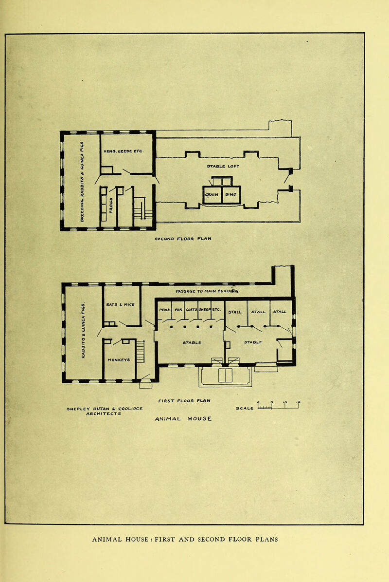 ANIMAL HOUSE : FIRST AND SECOND FLOOR PLANS