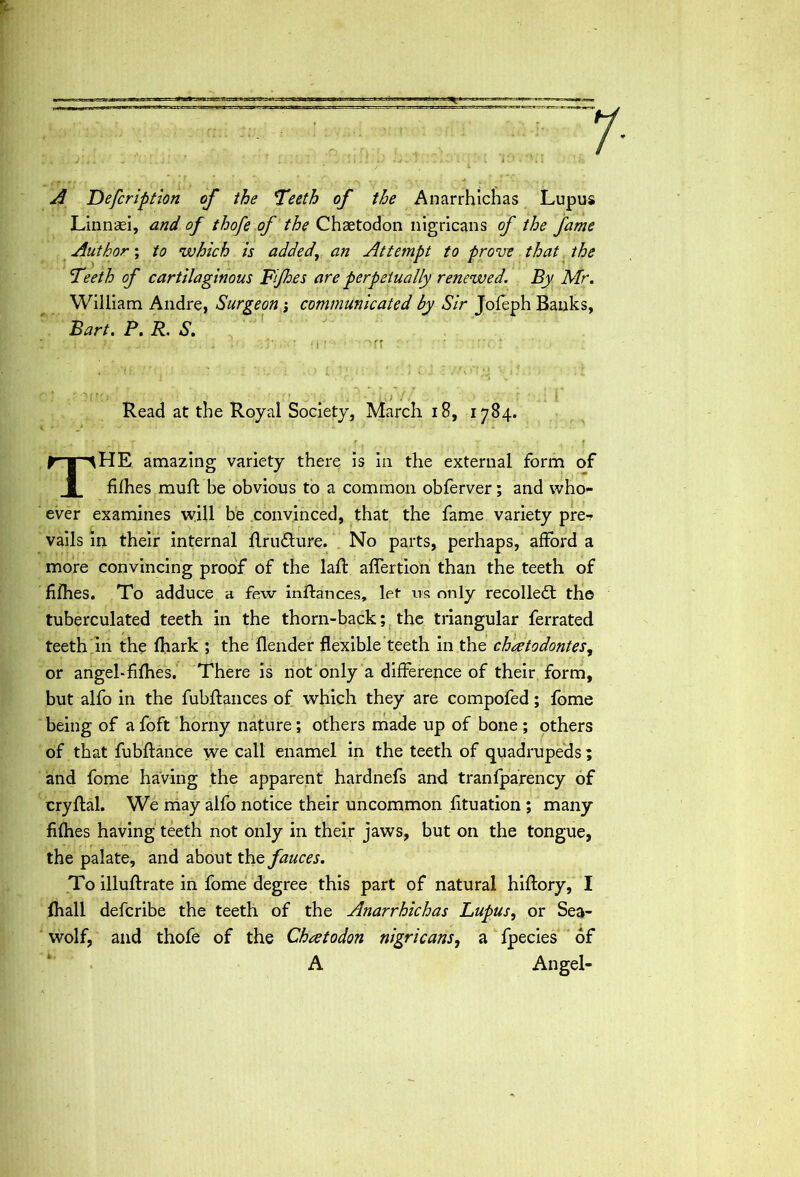 .. . IwH.iil ■ / l A Defcription of the Teeth of the Anarrhichas Lupus Linnsei, and of thofe of the Chaetodon nigricans of the fame Author; to which is added, an Attempt to prove that the Teeth of cartilaginous Fijhes are perpetually renewed. By Mr. William Andre, Surgeon; communicated by Sir Jofeph Banks, Bart. P. R. S. 1 l i-rf. J.' , . - •' • ' ‘ 1 ' ->rr : ': 'TV *' « * ’ ■ . . «. 1 . 1 « . . ► ■ ' * ' » , 1 Read at the Royal Society, March 18, 1784. THE amazing variety there is in the external form of fifhes muft be obvious to a common obferver; and who- ever examines will be convinced, that the fame variety pre- vails in their internal flrudture. No parts, perhaps, afford a more convincing proof of the laff affertioh than the teeth of fifhes. To adduce a few inftances, let ns only recoiled! the tuberculated teeth in the thorn-back; the triangular ferrated teeth in the fhark ; the {lender flexible teeth in the chatodontes, or angel-fifhes. There is not only a difference of their form, but alfo in the fubftances of which they are compofed; fome being of a foft horny nature; others made up of bone ; others of that fubftance we call enamel in the teeth of quadrupeds; and fome having the apparent hardnefs and tranfparency of cryftal. We may alfo notice their uncommon fituation ; many fifhes having teeth not only in their jaws, but on the tongue, the palate, and about the fauces. To illuftrate in fome degree this part of natural hiftory, I (hall defcribe the teeth of the Anarrhichas Lupus, or Sea- wolf, and thofe of the Chcetodon nigricans, a fpecies of A Angel-