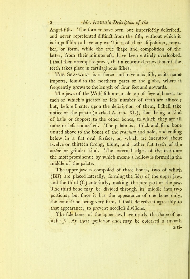 Angel-fifh. The former have been but imperfectly defcribed,. and never reprefented diftinCt from the fifh, without which it is impoffible to have any exaCt idea of their difpofition, num- ber, or form, while the true fhape and compofition of the latter, from their minutenefs, have been entirely overlooked* I fhall then attempt to prove, that a continual renovation of the teeth takes place in cartilaginous fifhes. The Sea-wolf is a fierce and ravenous fifh, as its name imports, found in the northern parts of the globe, where it frequently grows to the length of four feet and upwards. The jaws of the Wolf-fifh are made up of feveral bones, to each of which a greater or lefs number of teeth are affixed; but, before I enter upon the defcription of them, I fhall take notice of the palate (marked A. tab. XI.), that being a kind of bafis or fupport to the other bones, to which they are all more or lefs connected. The palate is a thick and firm bone united above to the bones of the cranium and nofe, and ending below in a flat oval furface, on which are incrufted about twelve or thirteen ftrong, blunt, and rather flat teeth of the molar or grinder kind. The external edges of the teeth are the mod prominent; by which means a hollow is formed in the middle of the palate. The upper jaw is compofed of three bones, two of which (BB) are placed laterally, forming the fides of the upper jaw, and the third (C) anteriorly, making the fore-part of the jaw. The third bone may be divided through its middle into two portions; but fince it has the appearance of one bone only, the connexion being very firm, I fhall defcribe it agreeably to that appearance, to prevent needlefs divifions. The fide bones of the upper jaw have nearly the fhape of an italic f At their pofterior ends may be obferved a fmooth aiti-