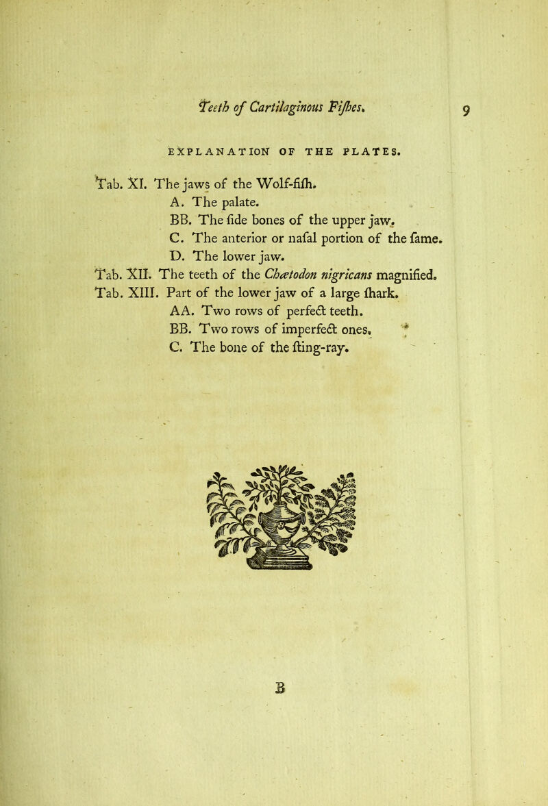 t?eth of Cartilaginous Fifes, 9 EXPLANATION OF THE PLATES. Tab. XI. The jaws of the Wolf-fifh. A. The palate. BB. The fide bones of the upper jaw. C. The anterior or nafal portion of the fame. D. The lower jaw. Tab. XII. The teeth of the Chatodon nigricans magnified. Tab. XIII. Part of the lower jaw of a large Ihark. A A. Two rows of perfect teeth. BB. Two rows of imperfect ones, C. The bone of the fling-ray. B