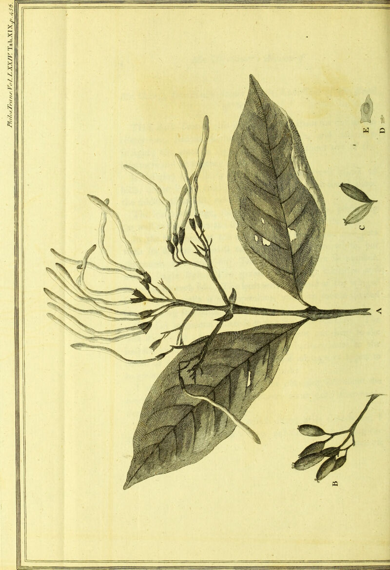 F/uV<'j.T>vf„.r. Vof. ZXXm Ta UXI X./,.4S6.