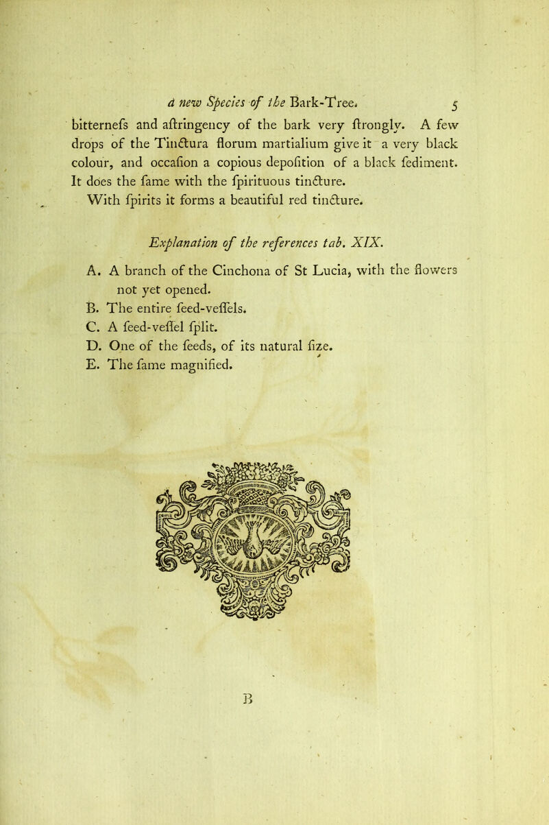 d new Species of the Bark-Tree. 5 bitternefs and aftringency of the bark very ftrongly. A few drops of the Tindlura florum martialium give It a very black colour, and occahon a copious depolition of a black fediment. It does the fame with the fpirituous tinflure. With fpirits it forms a beautiful red tinflure. Explanation of the references tab. XIX. A. A branch of the Cinchona of St Lucla^ with the flowers not yet opened. B. The entire feed-veflfels. C. A feed-veflel fplit. D. One of the feeds, of Its natural flze. E. The fame magnified. B I