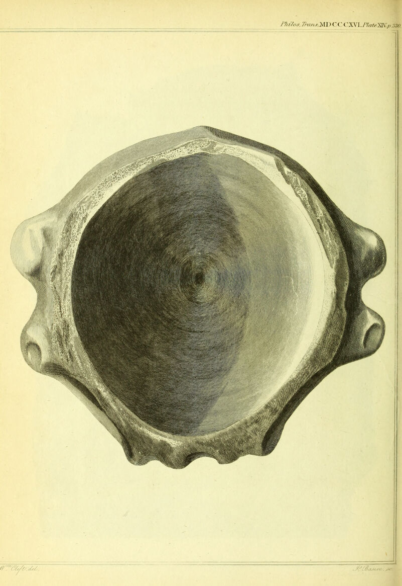 F/u7oi\ r/y/y/.r.m) CC CXVI./W^H\> ,32a
