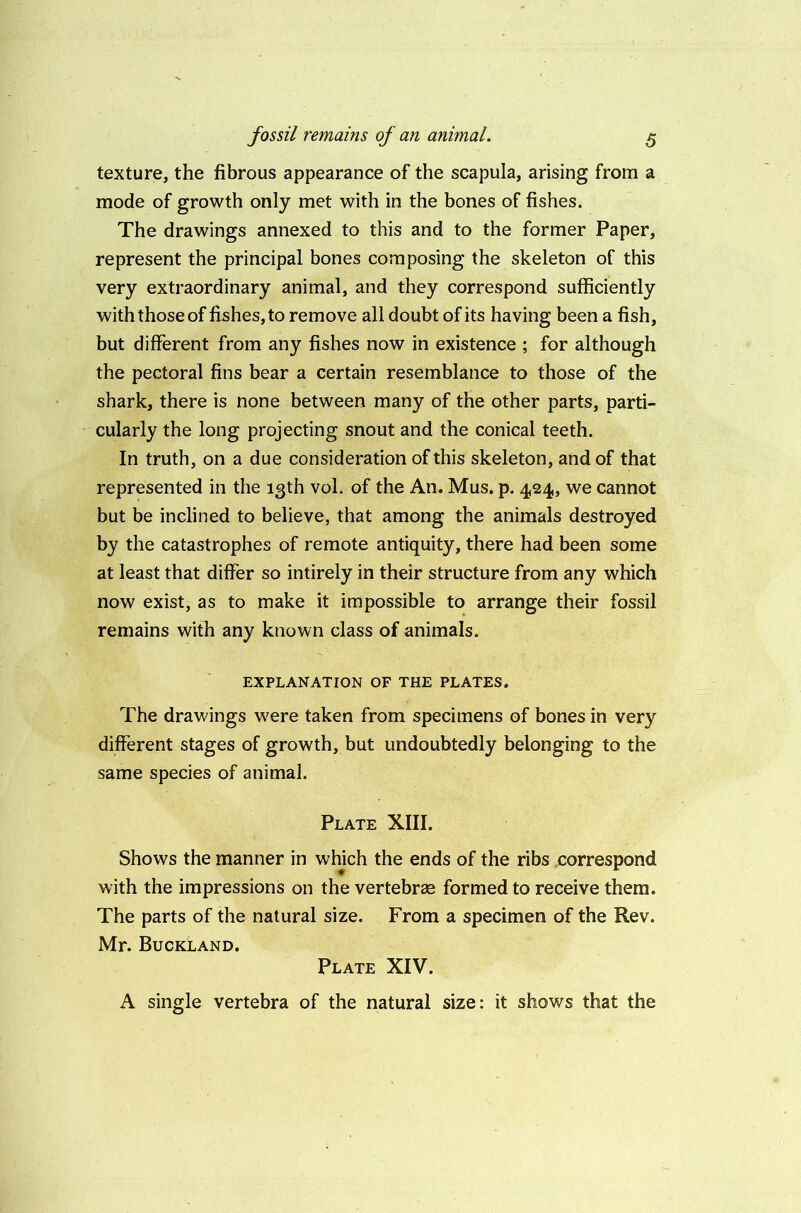 fossil remains of an animal. texture, the fibrous appearance of the scapula, arising from a mode of growth only met with in the bones of fishes. The drawings annexed to this and to the former Paper, represent the principal bones composing the skeleton of this very extraordinary animal, and they correspond sufficiently with those of fishes, to remove all doubt of its having been a fish, but different from any fishes now in existence ; for although the pectoral fins bear a certain resemblance to those of the shark, there is none between many of the other parts, parti- cularly the long projecting snout and the conical teeth. In truth, on a due consideration of this skeleton, and of that represented in the 13th vol. of the An. Mus. p. 424, we cannot but be inclined to believe, that among the animals destroyed by the catastrophes of remote antiquity, there had been some at least that differ so intirely in their structure from any which now exist, as to make it impossible to arrange their fossil remains with any known class of animals. EXPLANATION OF THE PLATES. The drawings were taken from specimens of bones in very different stages of growth, but undoubtedly belonging to the same species of animal. Plate XIII. Shows the manner in which the ends of the ribs correspond with the impressions on the vertebrse formed to receive them. The parts of the natural size. From a specimen of the Rev. Mr. Buckland. Plate XIV. A single vertebra of the natural size: it shows that the