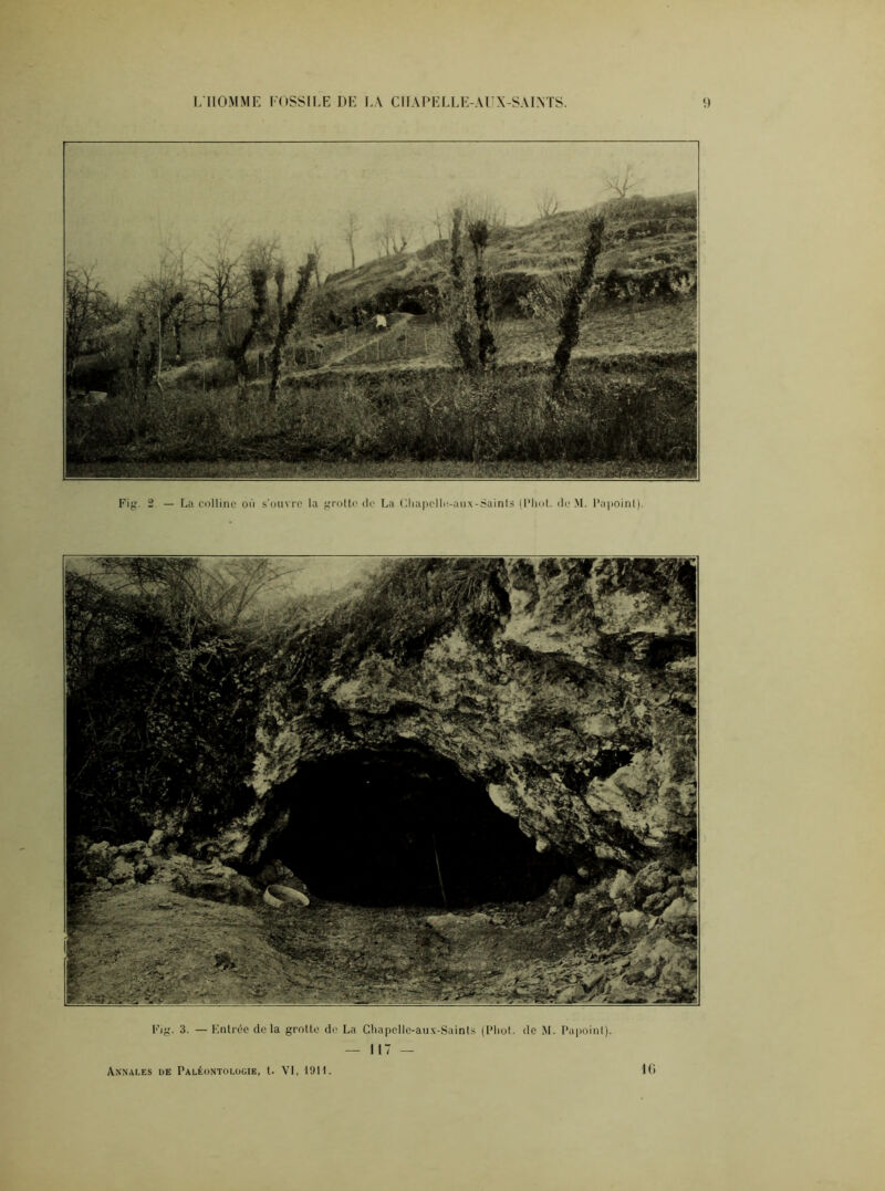 Annales de Paléontologie, t. VI, 1911. JG