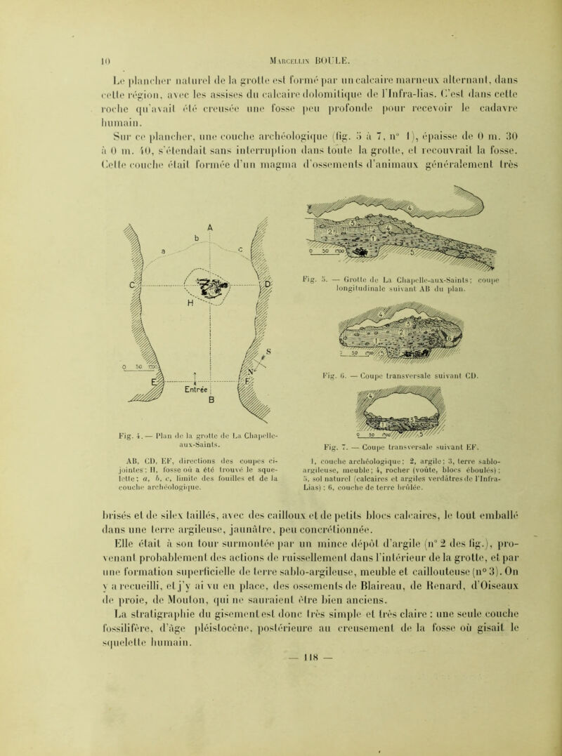 Le plancher naturel de la grotte est formé par un calcaire marneux alternant, dans cette région, avec les assises du calcaire dolomitique de l lnfra-lias. U’esl dans cette roche qu'avait été creusée une fosse peu profonde pour recevoir le cadavre humain. Sur ce plancher, une couche archéologique (fig. o à 7, n° I), épaisse de 0 m. 30 à 0 m. iO, s’étendait sans interruption dans toute la grotte, cl recouvrait la fosse. Celte couche était formée d’un magma d’ossements d’animaux généralement très Fig. 4.— Plan do. la grotte de La Chapelle- aux-Saints. AB, CU. EF, directions des coupes ci- jointes, 11, fosse où a été trouvé le sque- lette; a, b, c, limite des fouilles et de la couche archéologique. Fig. 5. — Grotte de La Chapellc-aux-Saints; coupe longitudinale suivant AB du plan. Fig. G. — Coupe transversale suivant CD. Fig. T. — Coupe transversale suivant EF. I, couche archéologique; 2, argile; 3, terre sablo- argileuse, meuble; 4, rocher (voûte, blocs éboulés); 5, sol naturel (calcaires et argiles verdâtres de Finira- Lias) ; G, couche de terre brûlée. brisés et de silex taillés, avec des cailloux et de petits blocs calcaires, le tout emballé dans une terre argileuse, jaunâtre, peu concrétionnée. Elle était à son tour surmontée par un mince dépôt d’argile (n°2 des fig.), pro- venant probablement des actions de ruissellement dans l’intérieur de la grotte, et par une formation superficielle de terre sablo-argileuse, meuble et caillouteuse (n° 3). On y a recueilli, et j’y ai vu en place, des ossements de Blaireau, de Renard, d’Oiseaux de proie, de Mouton, qui ne sauraient être bien anciens. La stratigraphie du gisement est donc très simple et très claire : une seule couche fossilifère, d’âge pléistocène, postérieure au creusement de la fosse où gisait le squelette humain. lis —